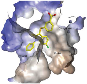 Molecules 27 05487 i015