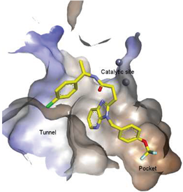 Molecules 27 05487 i017