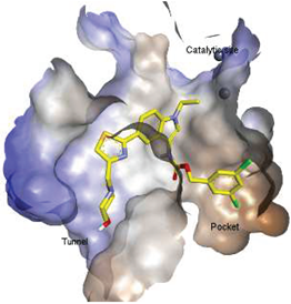 Molecules 27 05487 i019