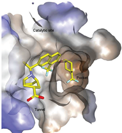 Molecules 27 05487 i022