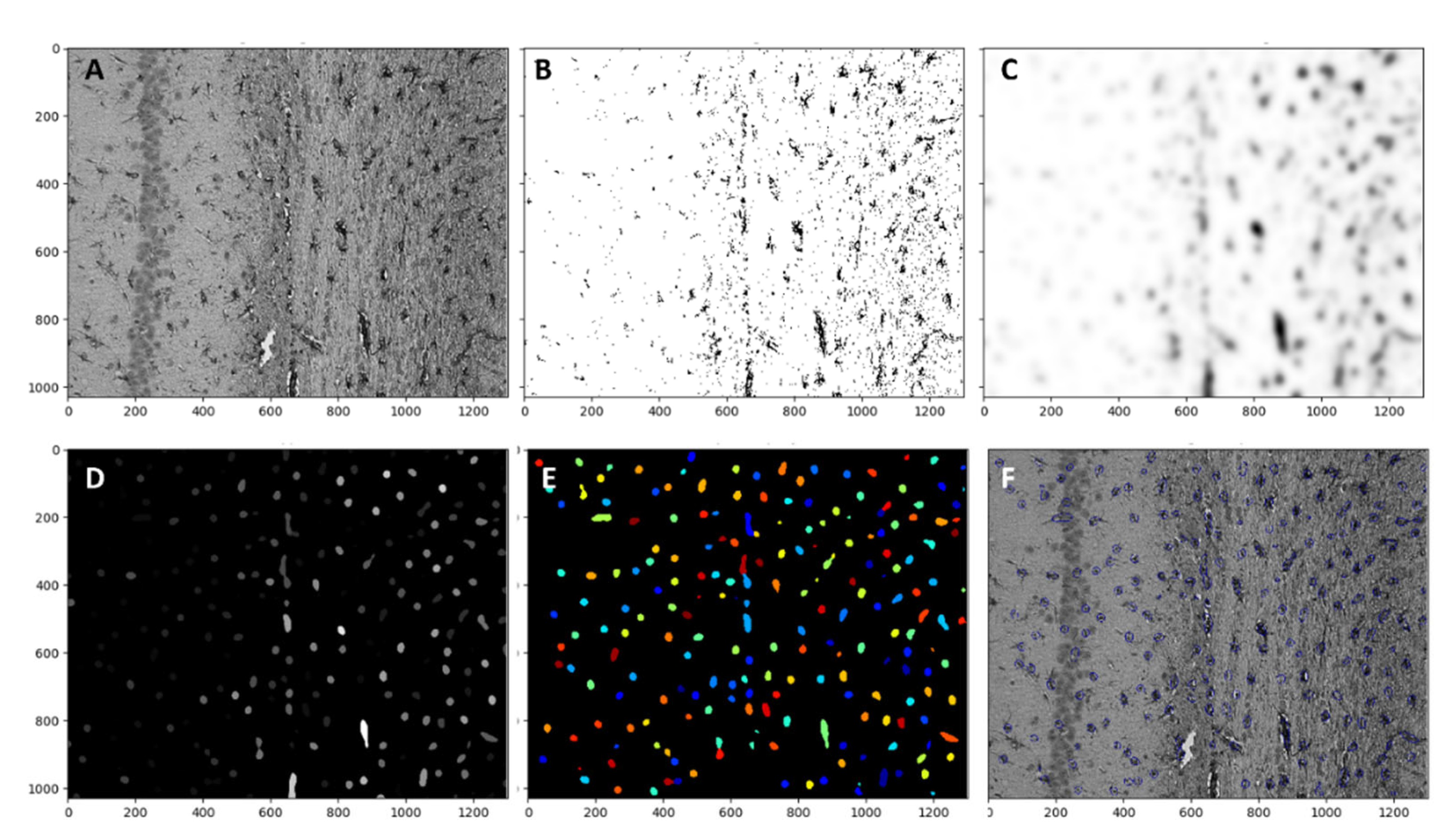 Molecules 27 05488 g009 Molecules 27 05488 g009
