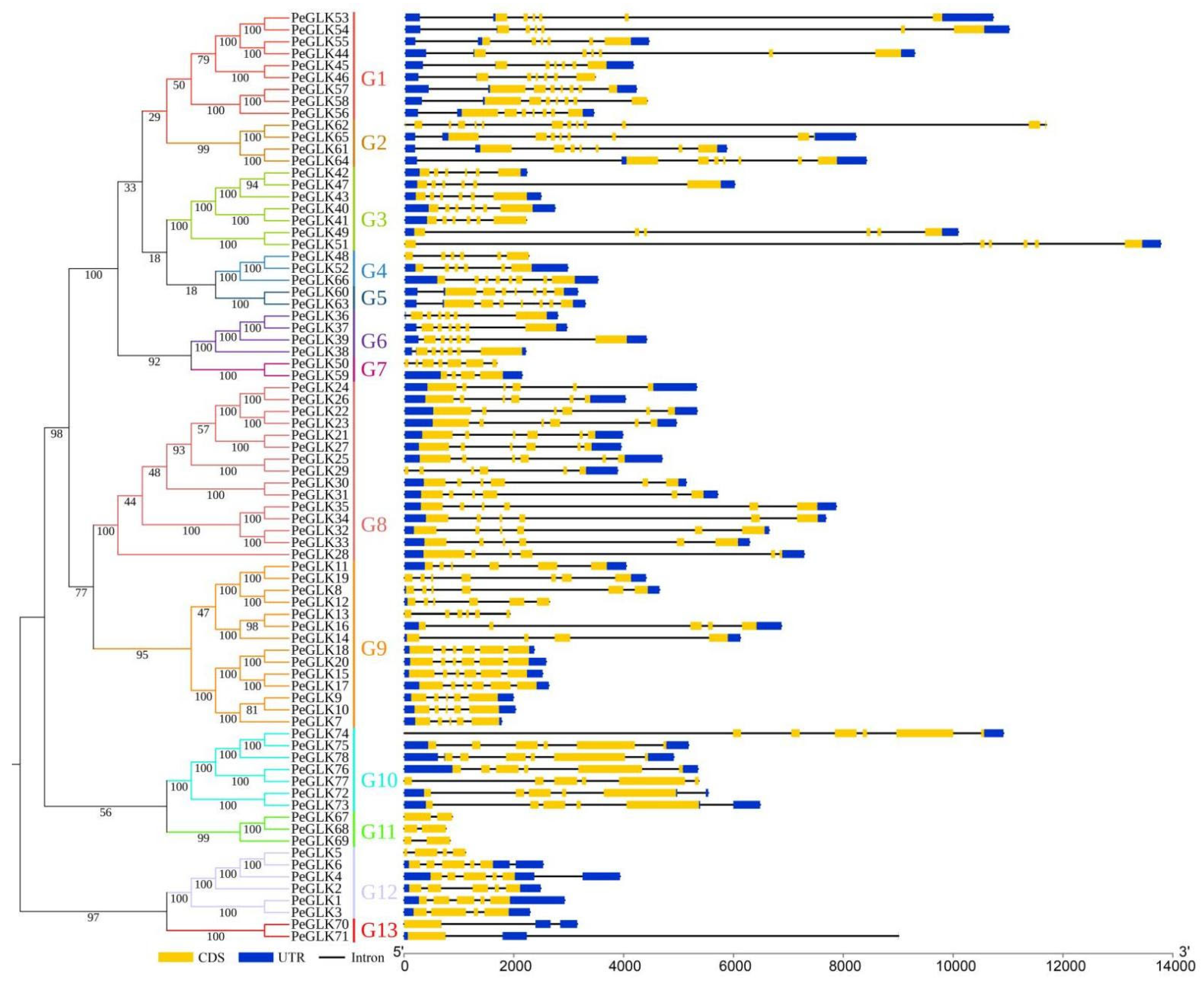 Molecules 27 05491 g003