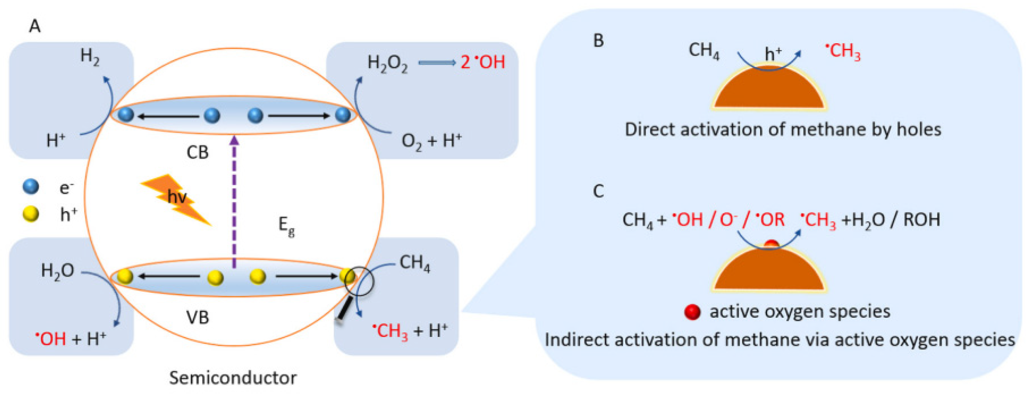 Molecules 27 05496 g007