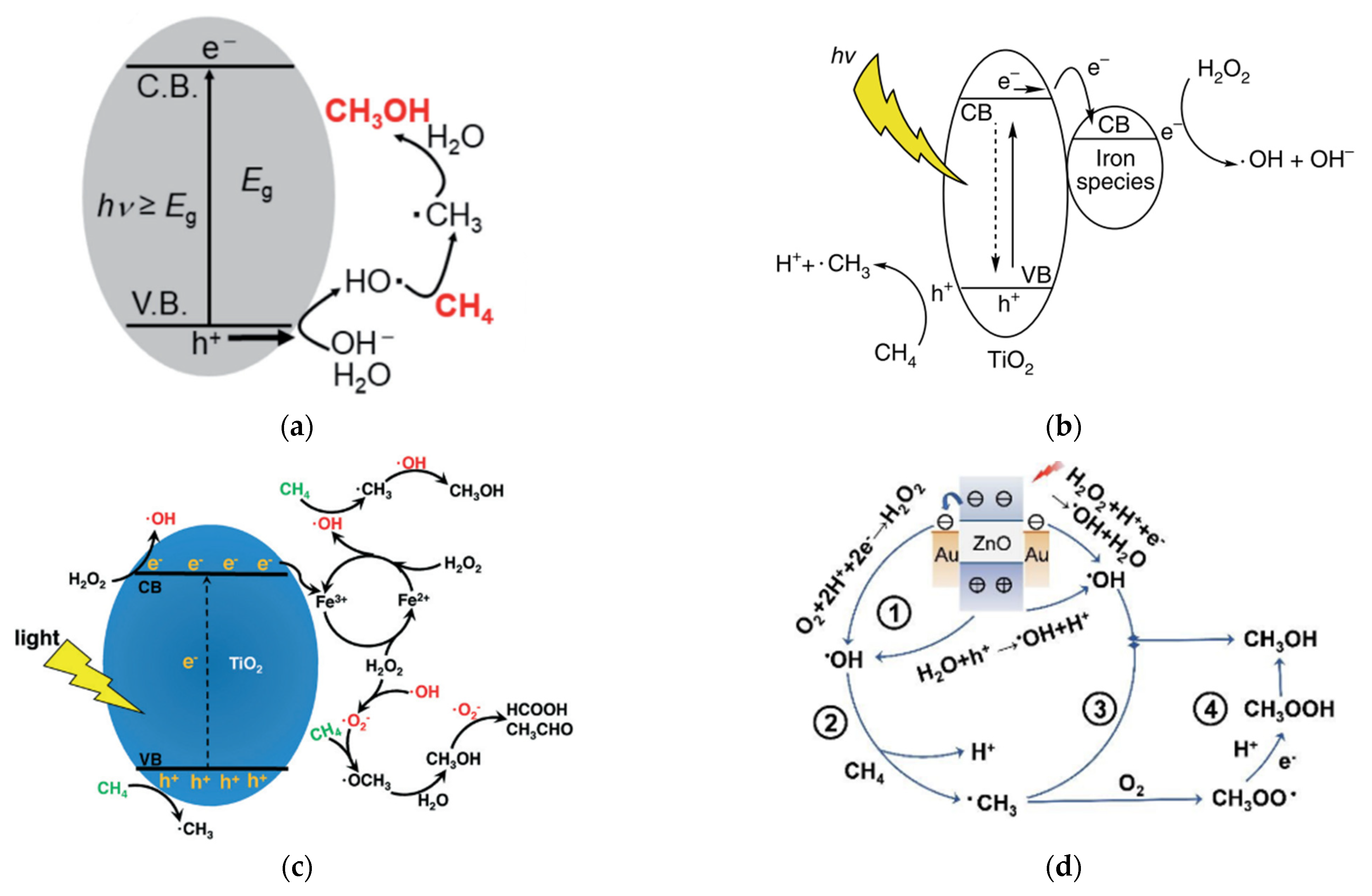 Molecules 27 05496 g008