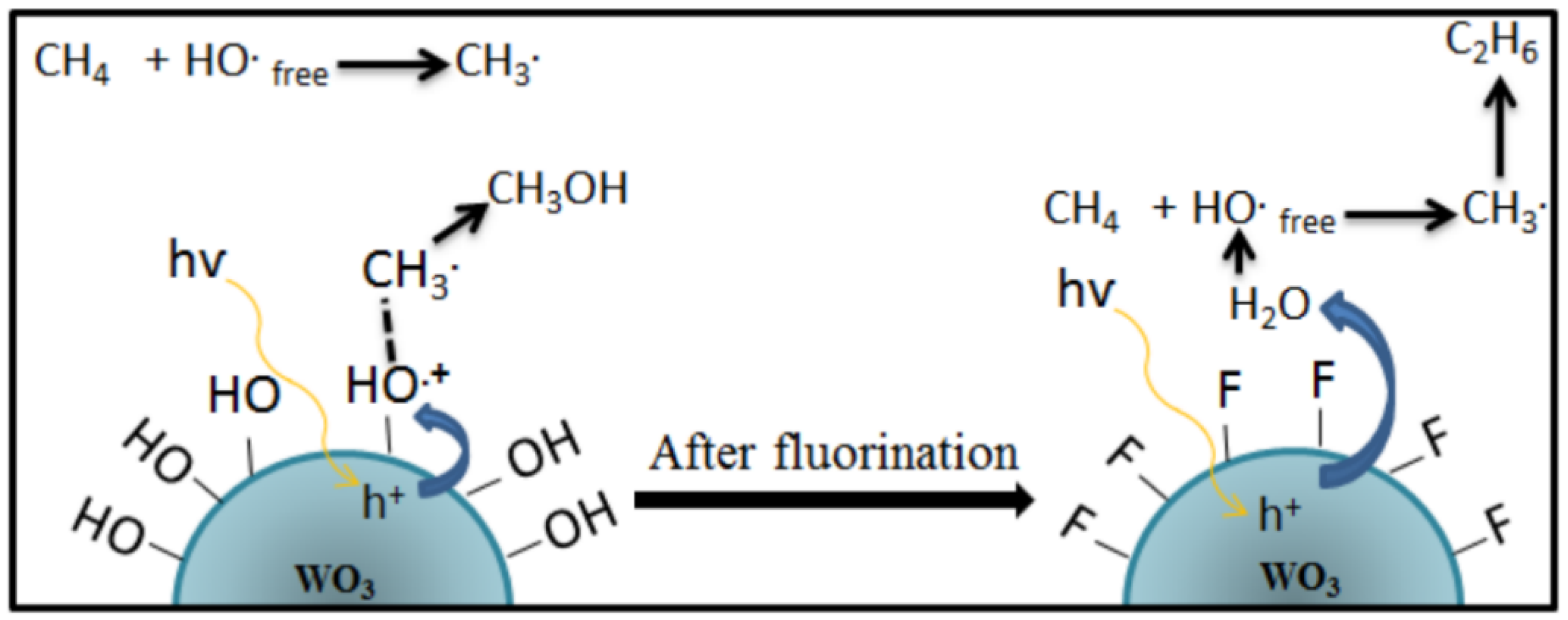 Molecules 27 05496 g010