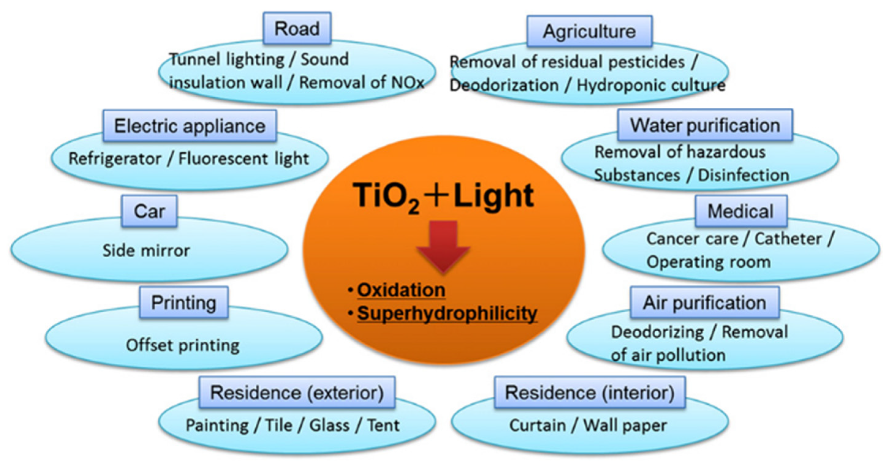 Molecules 27 05496 g012