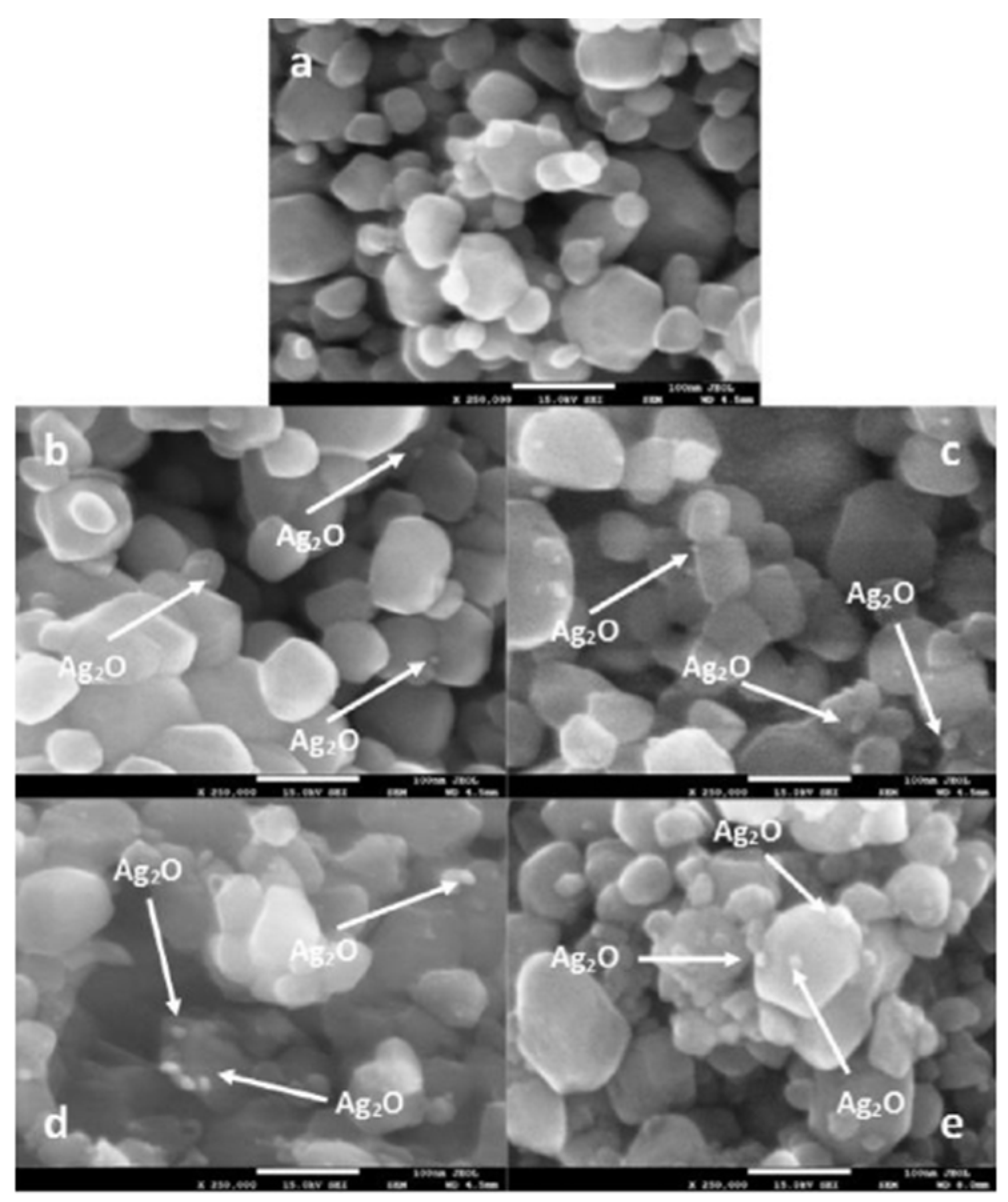 Molecules 27 05496 g020