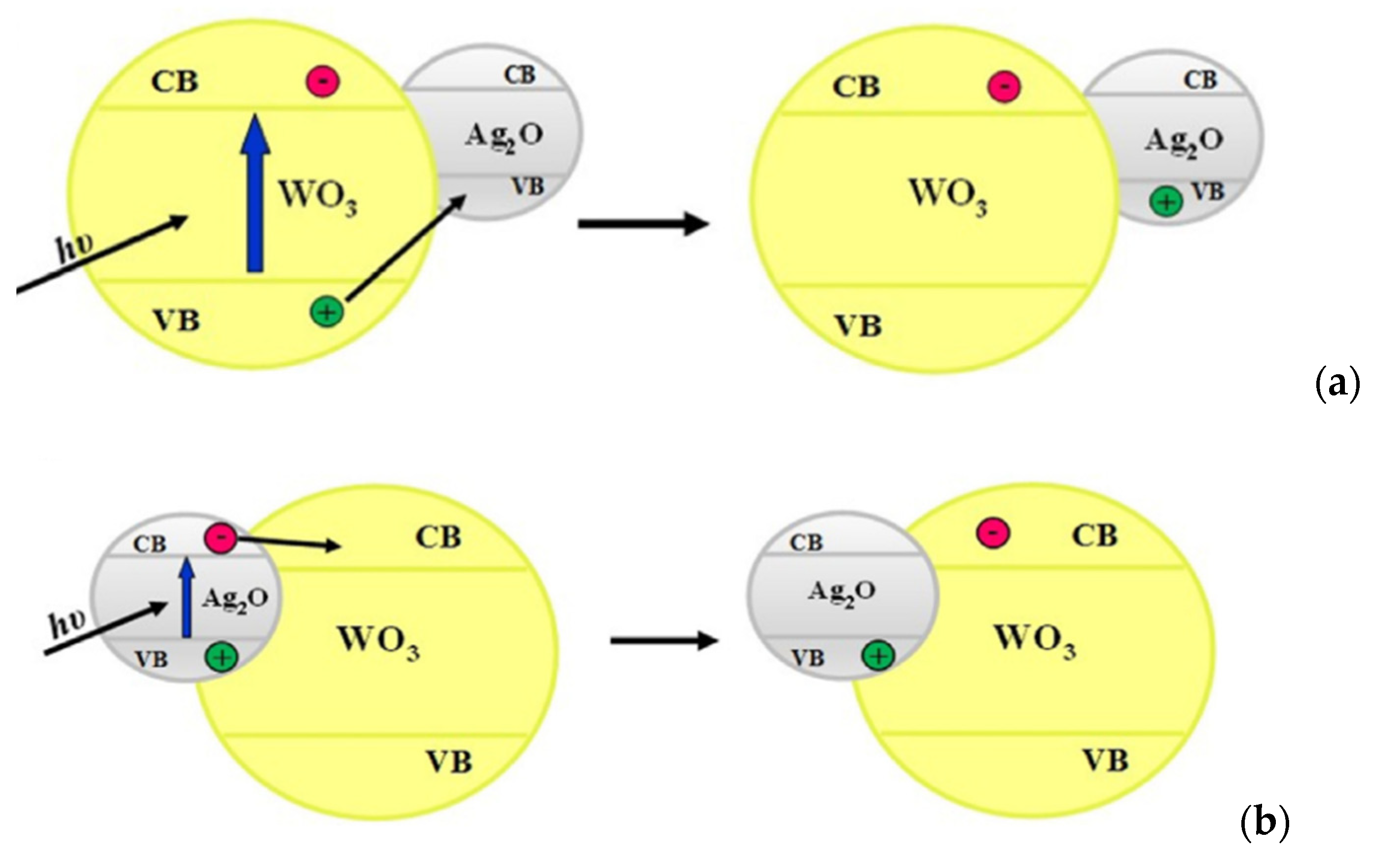 Molecules 27 05496 g021