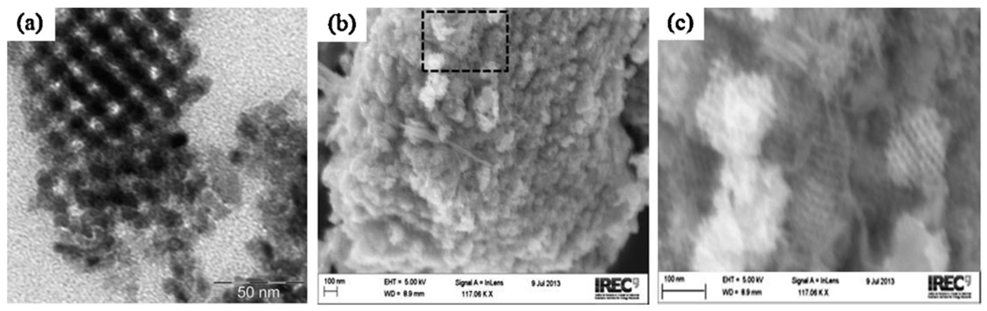 Molecules 27 05496 g023