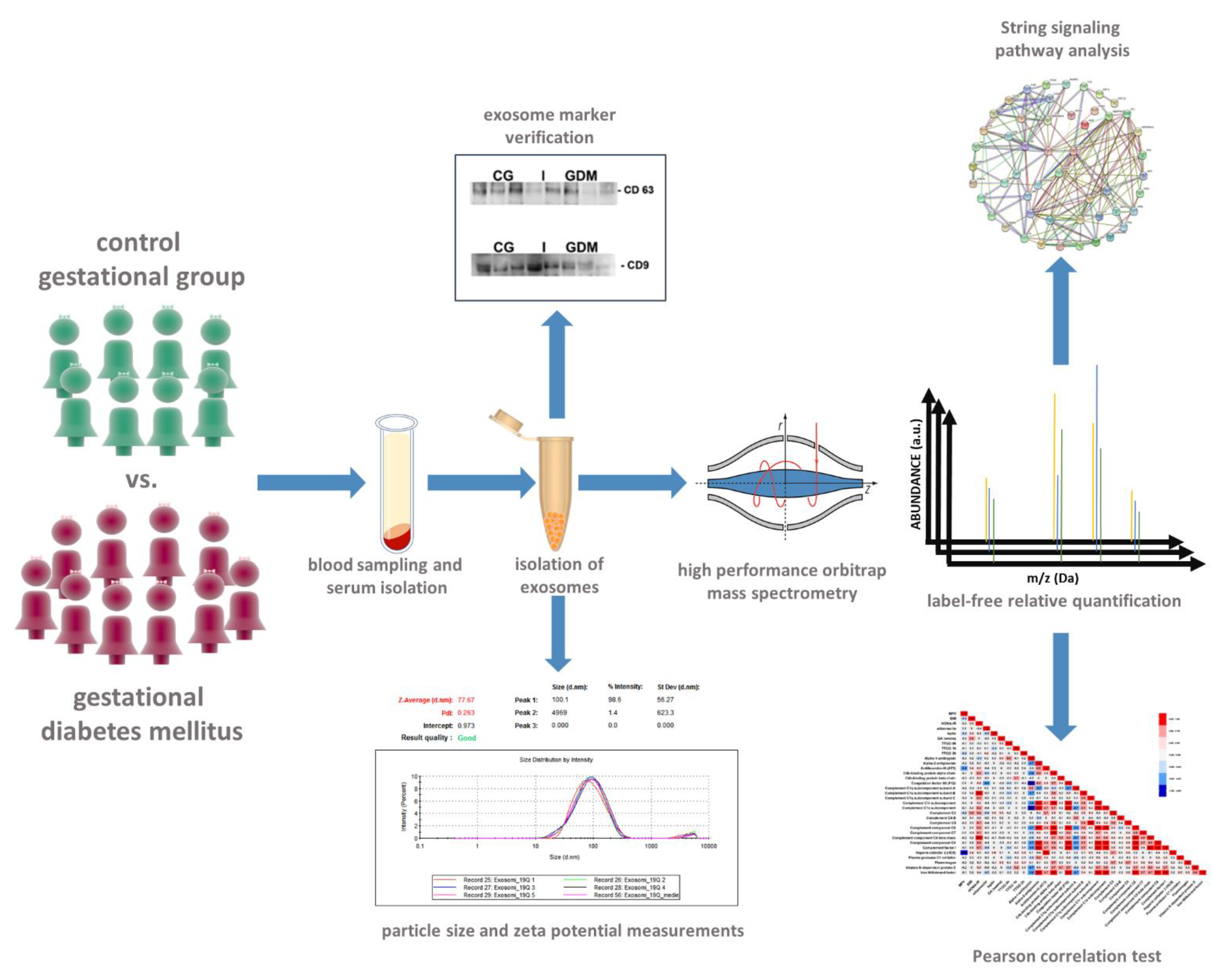 Molecules 27 05502 g007