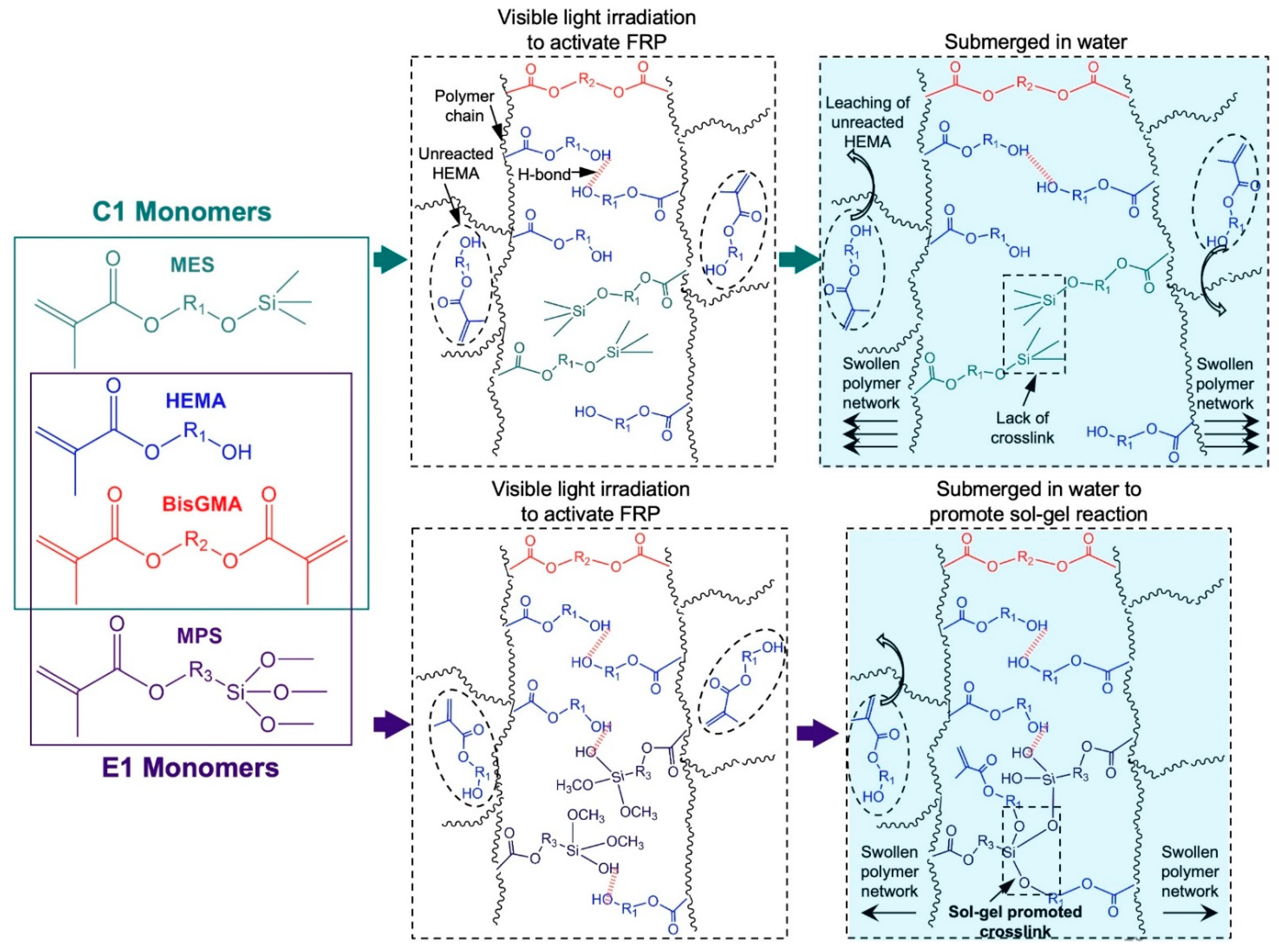 Molecules 27 05505 sch001