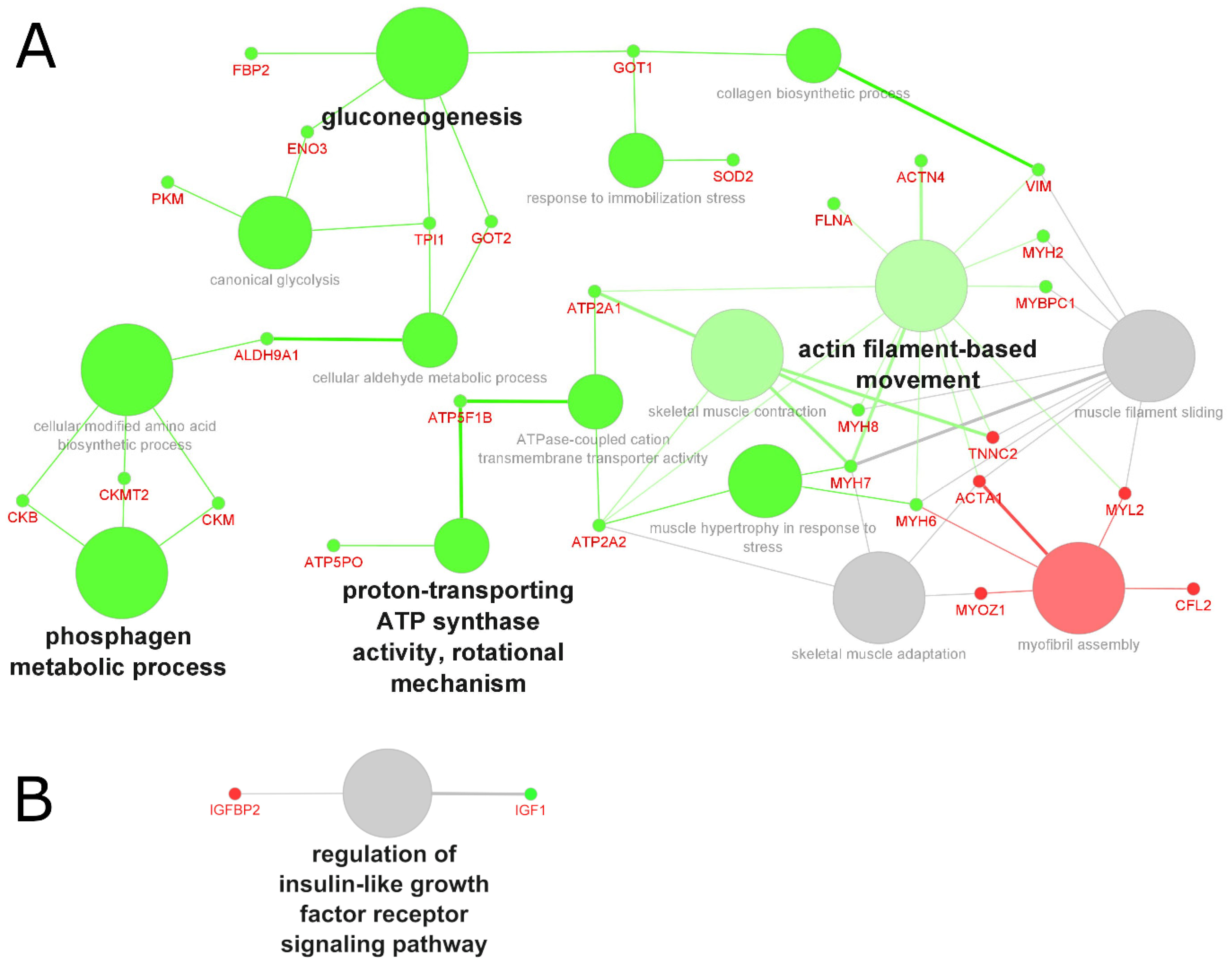 Molecules 27 05514 g004 Molecules 27 05514 g004