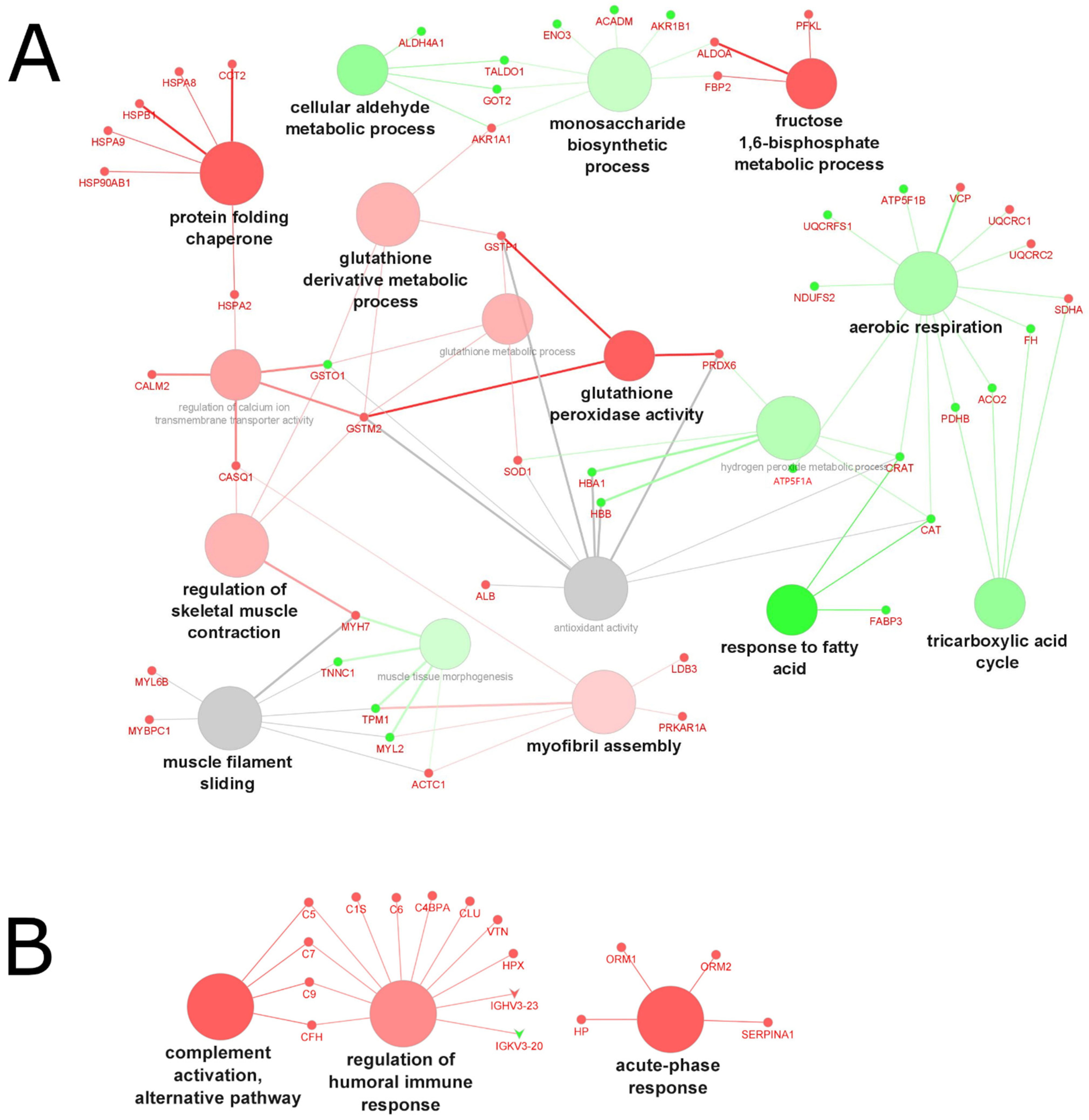 Molecules 27 05514 g005 Molecules 27 05514 g005