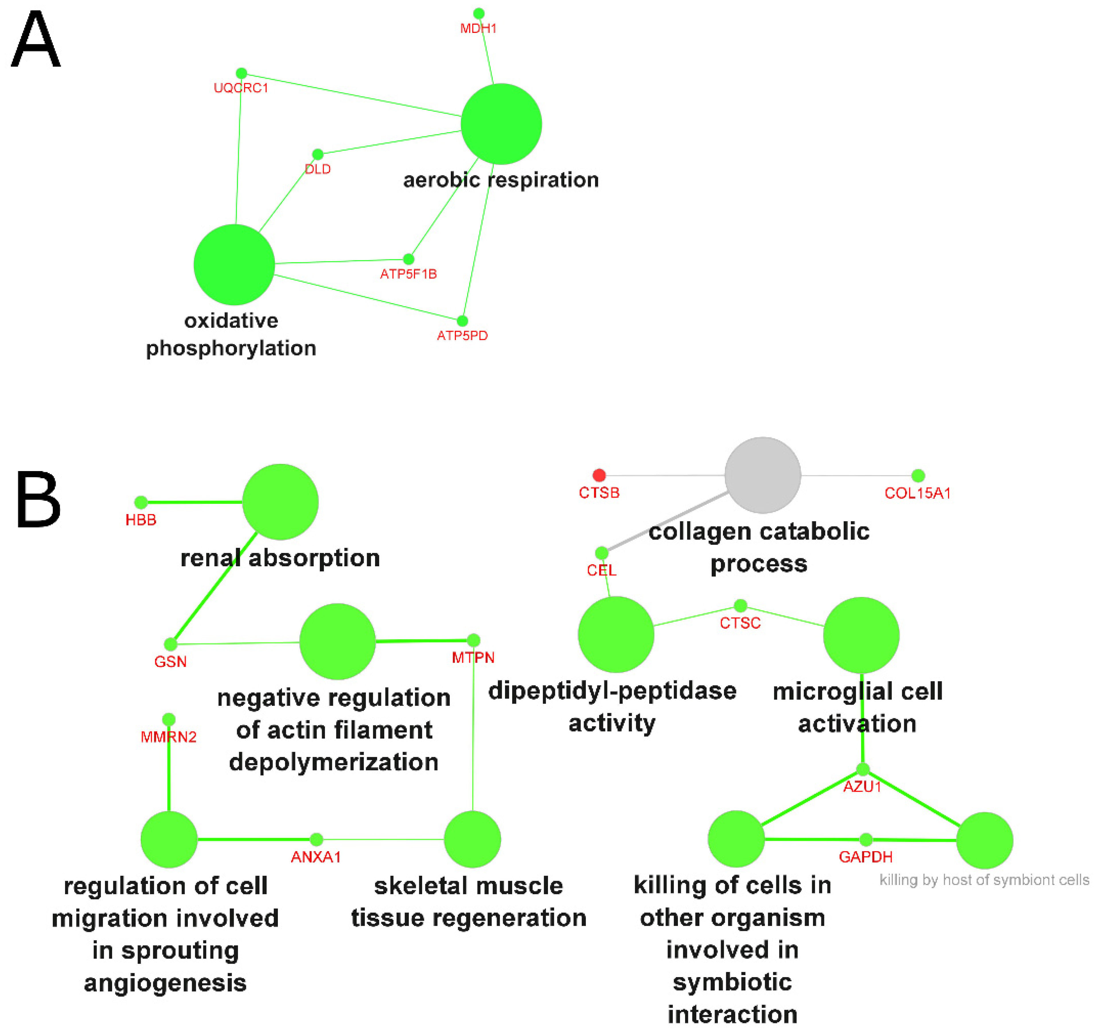 Molecules 27 05514 g006 Molecules 27 05514 g006