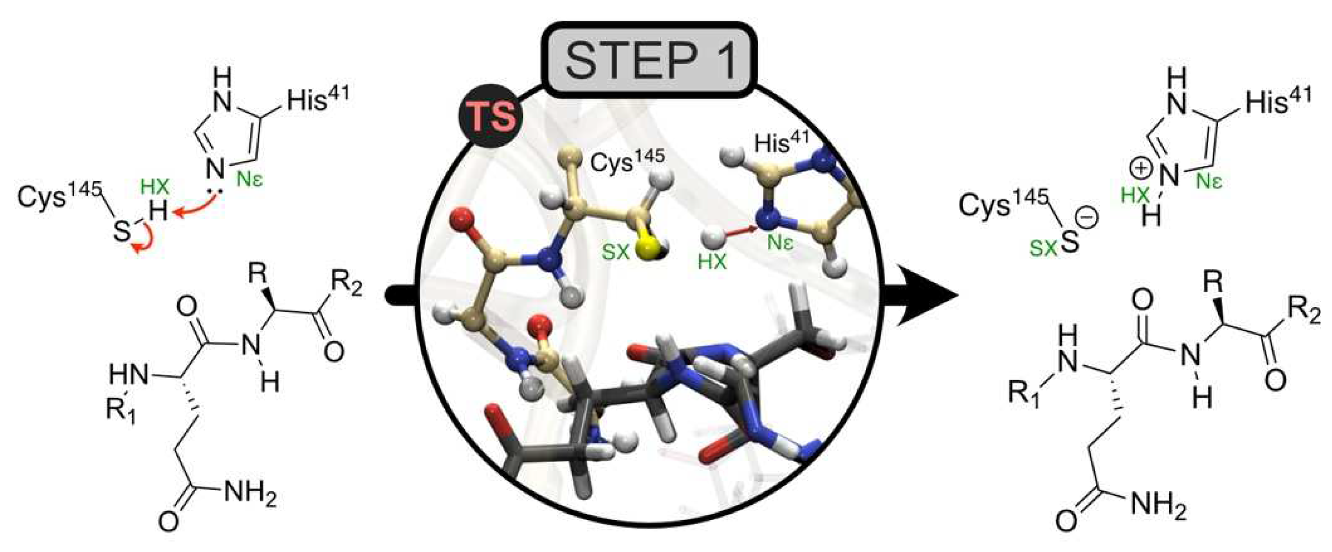 Molecules 27 05524 g005