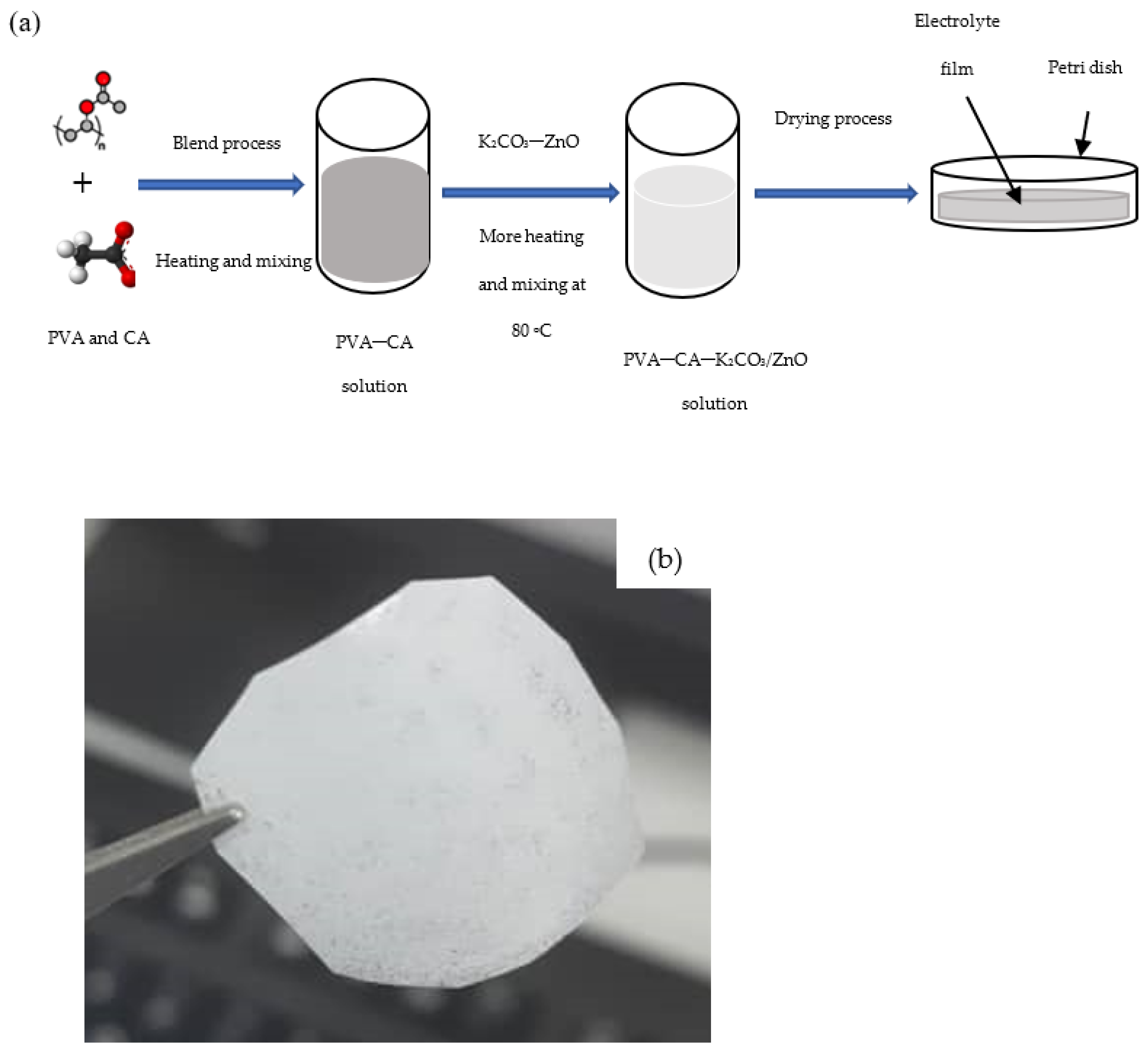 Molecules 27 05528 g001