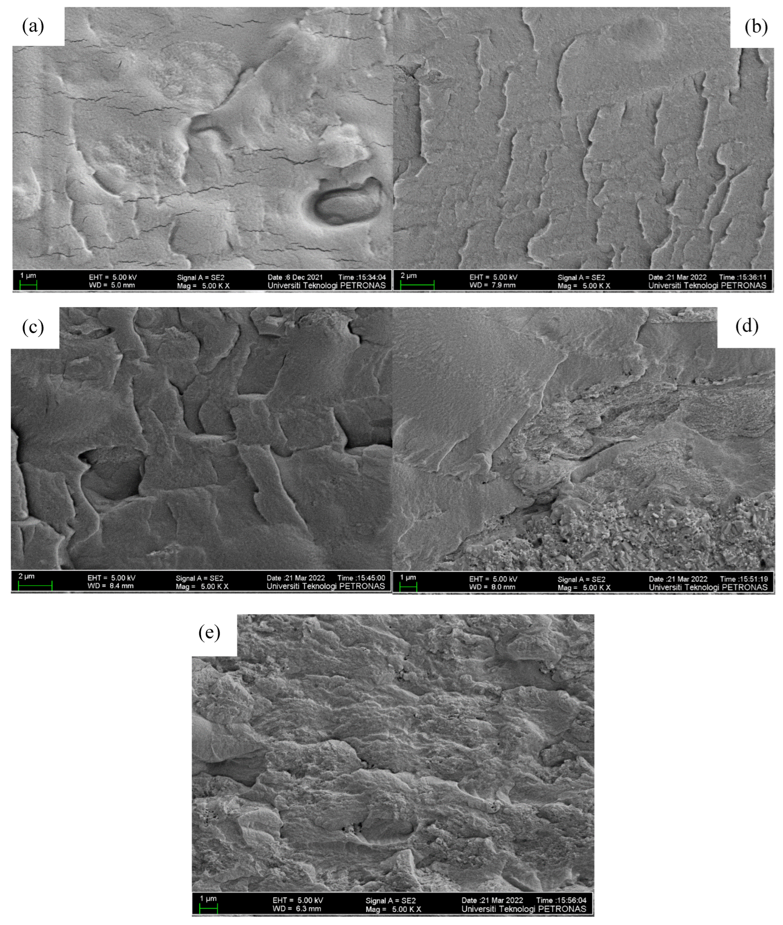 Molecules 27 05528 g004