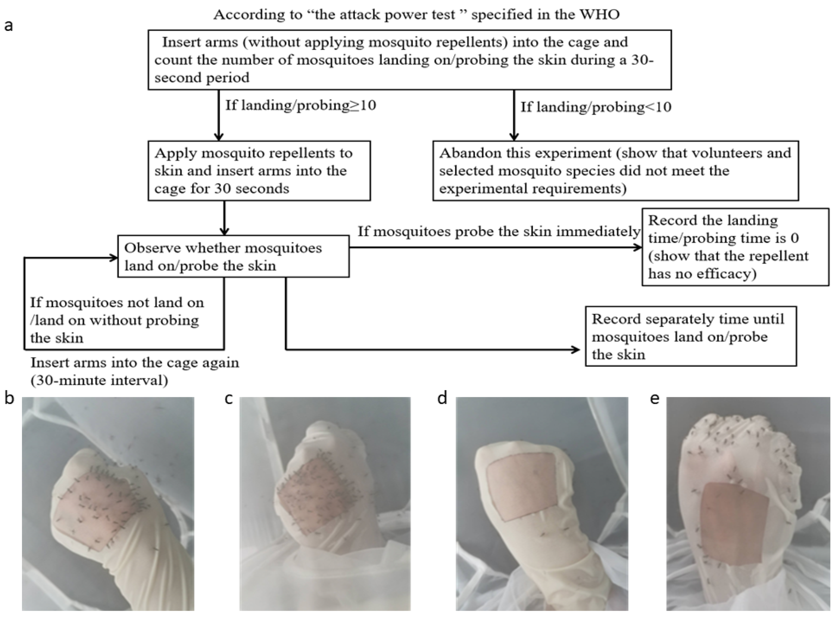 Molecules 27 05534 g003