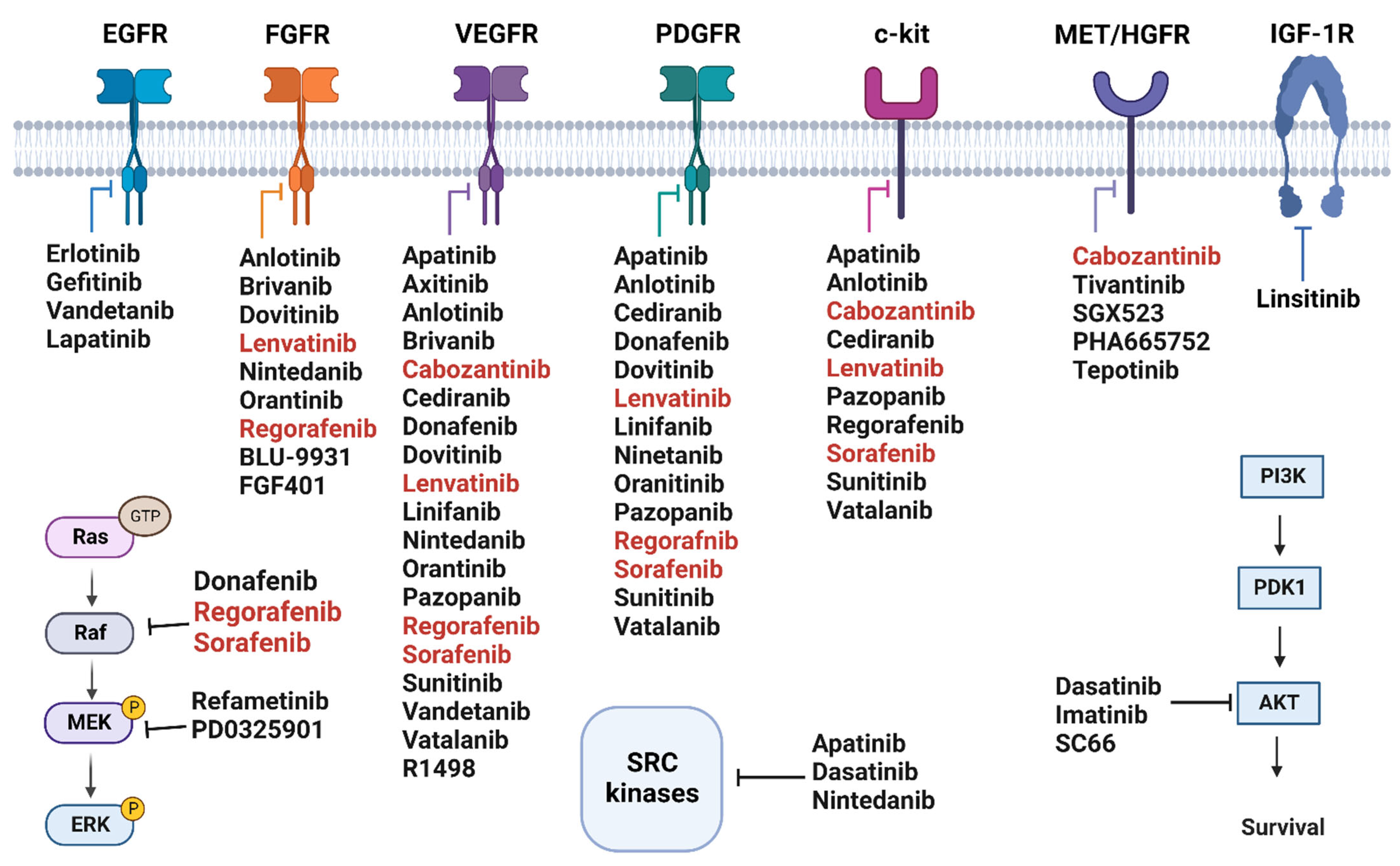 Molecules 27 05537 g005
