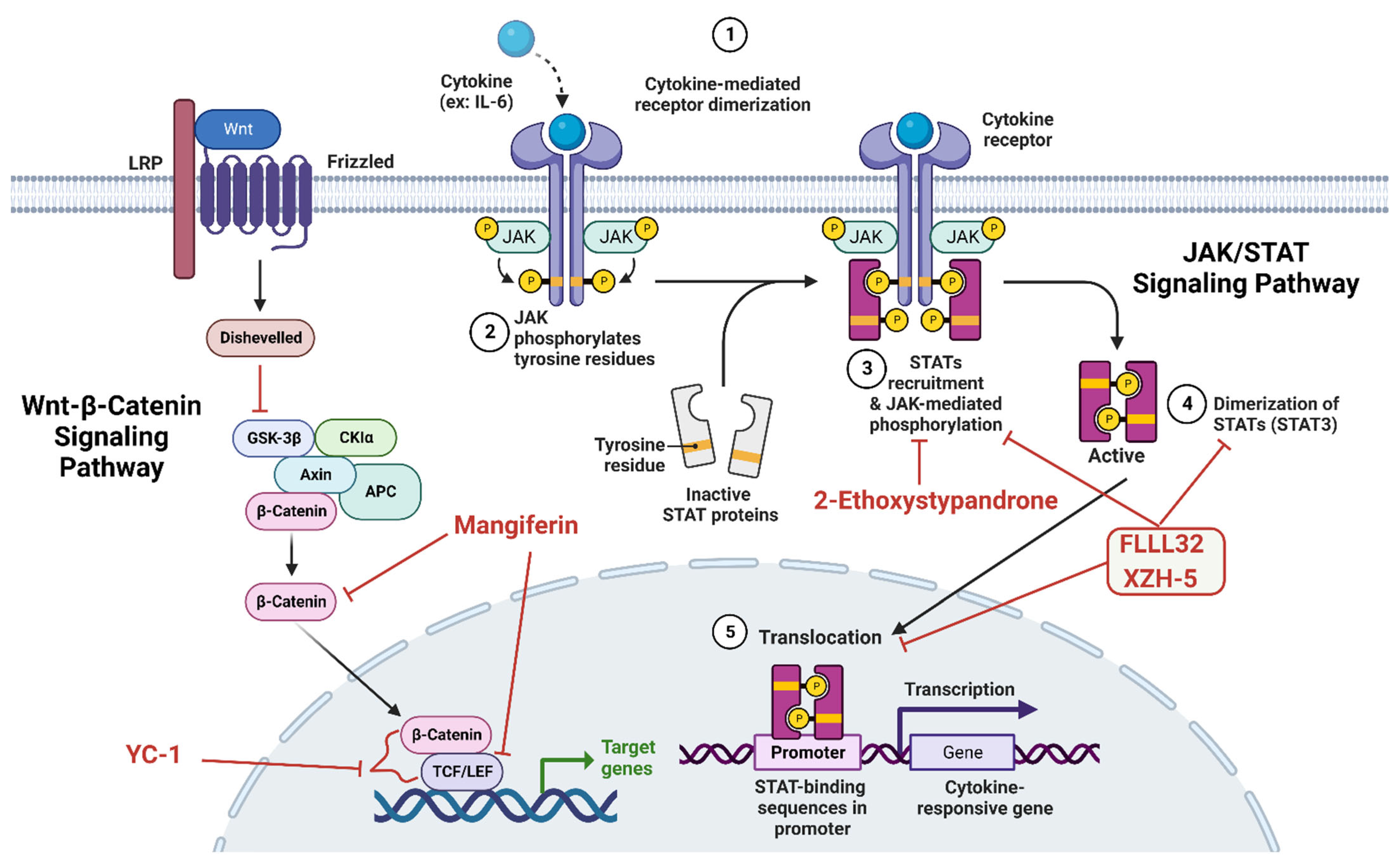 Molecules 27 05537 g006