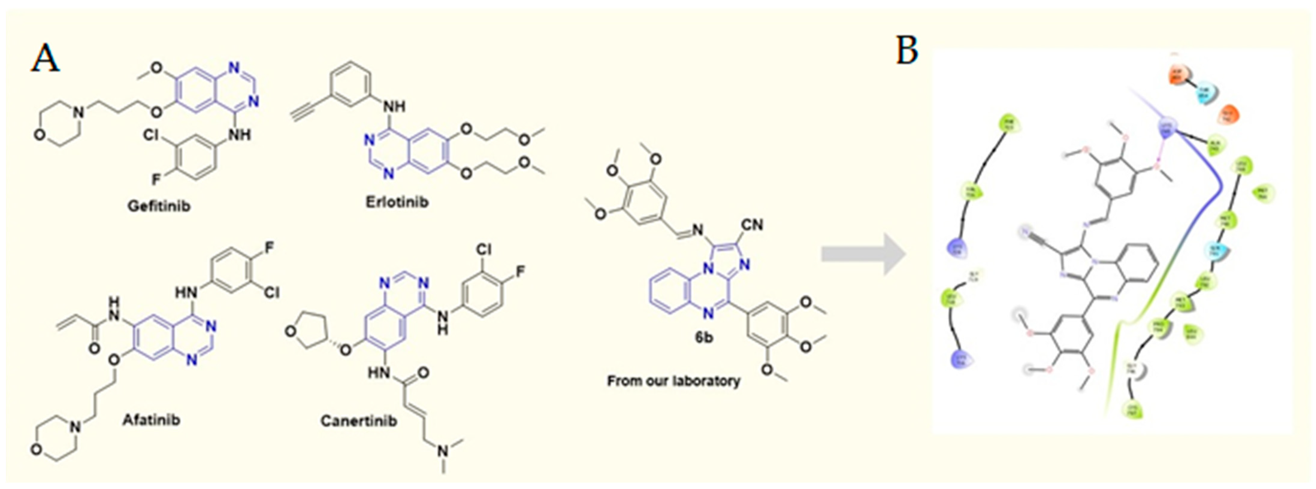 Molecules 27 05540 g001