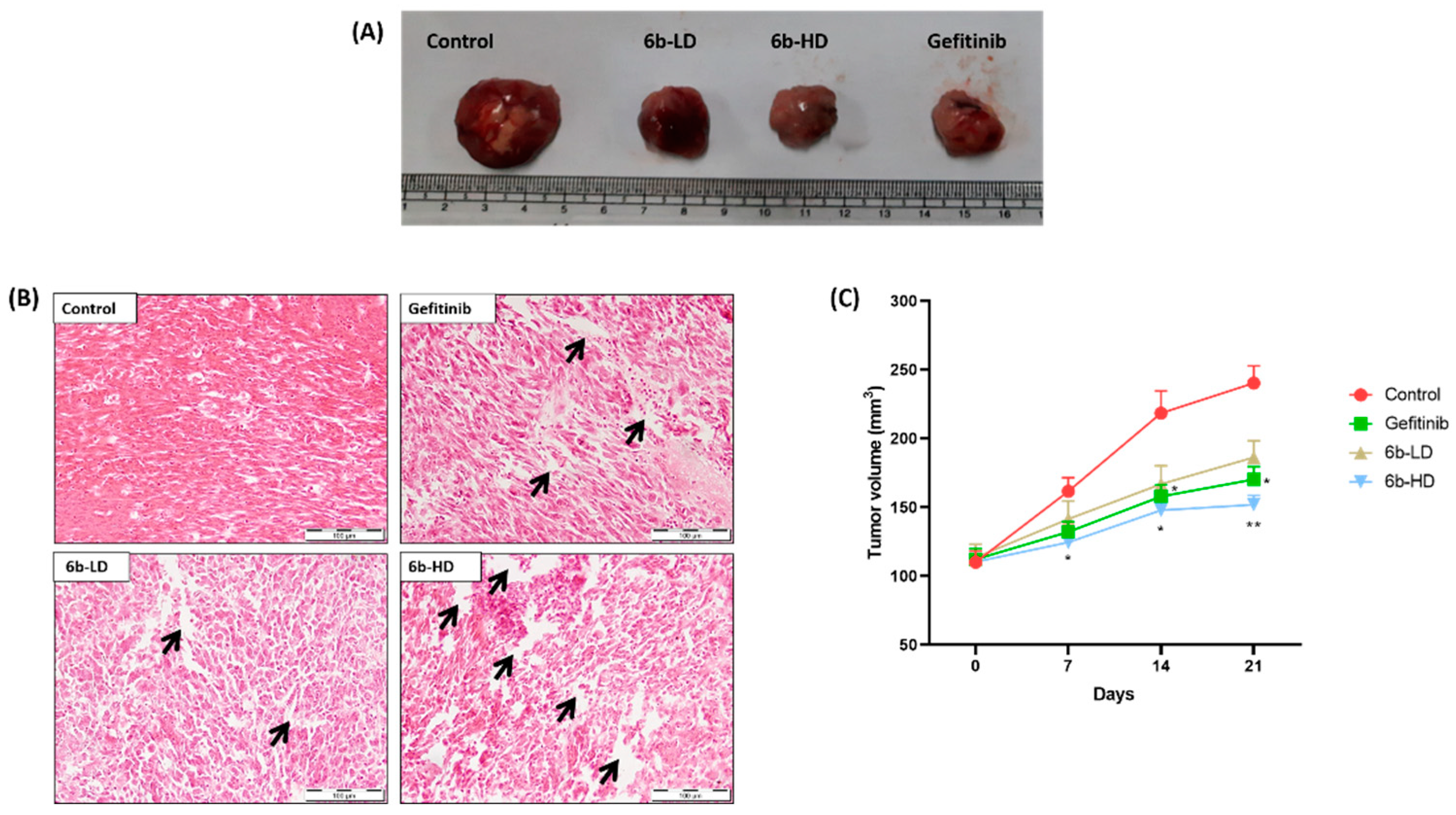 Molecules 27 05540 g003