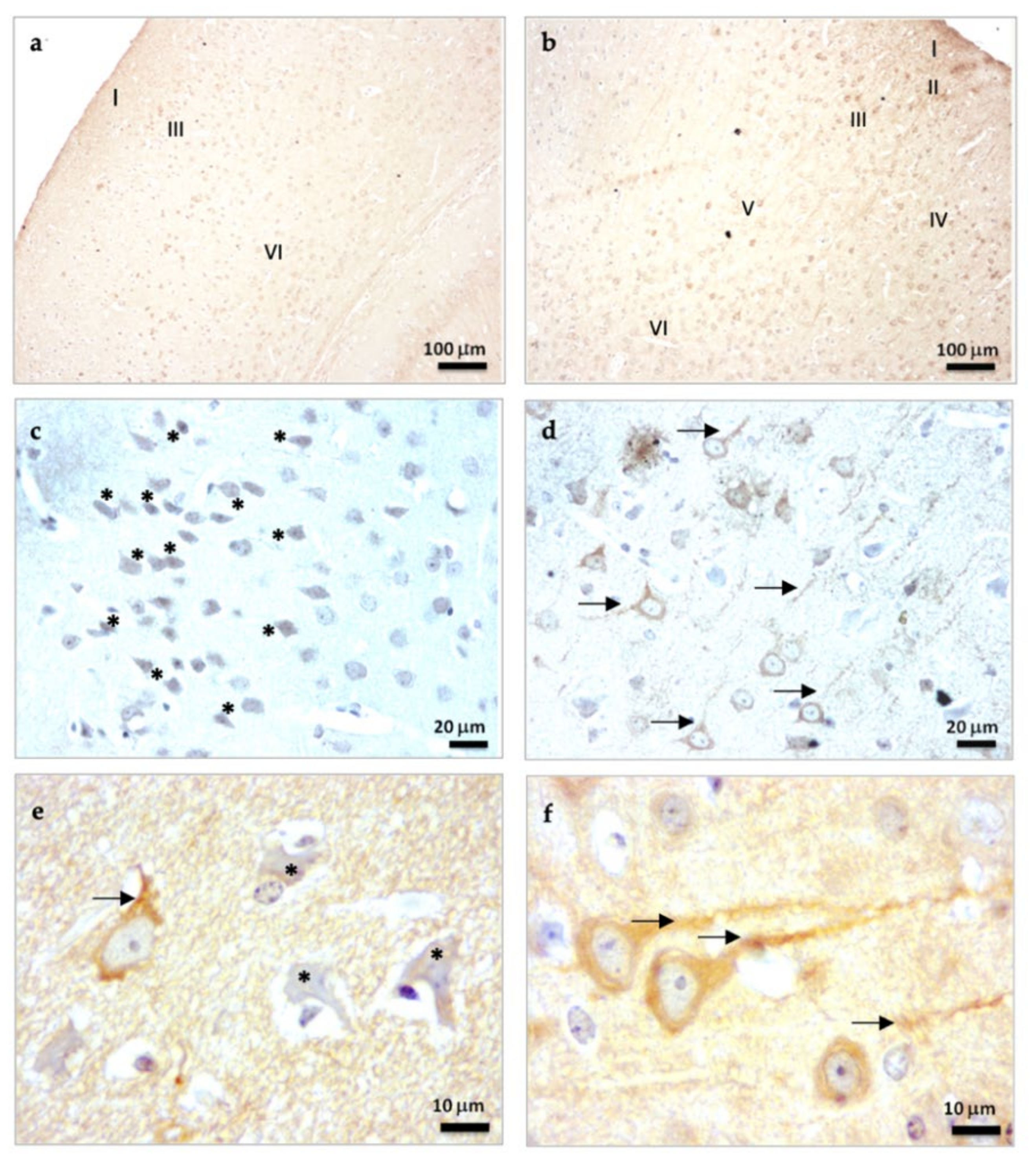 Molecules 27 05543 g001a