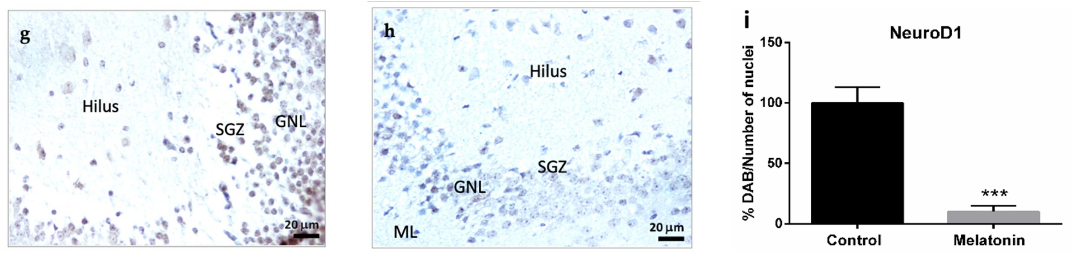 Molecules 27 05543 g004b