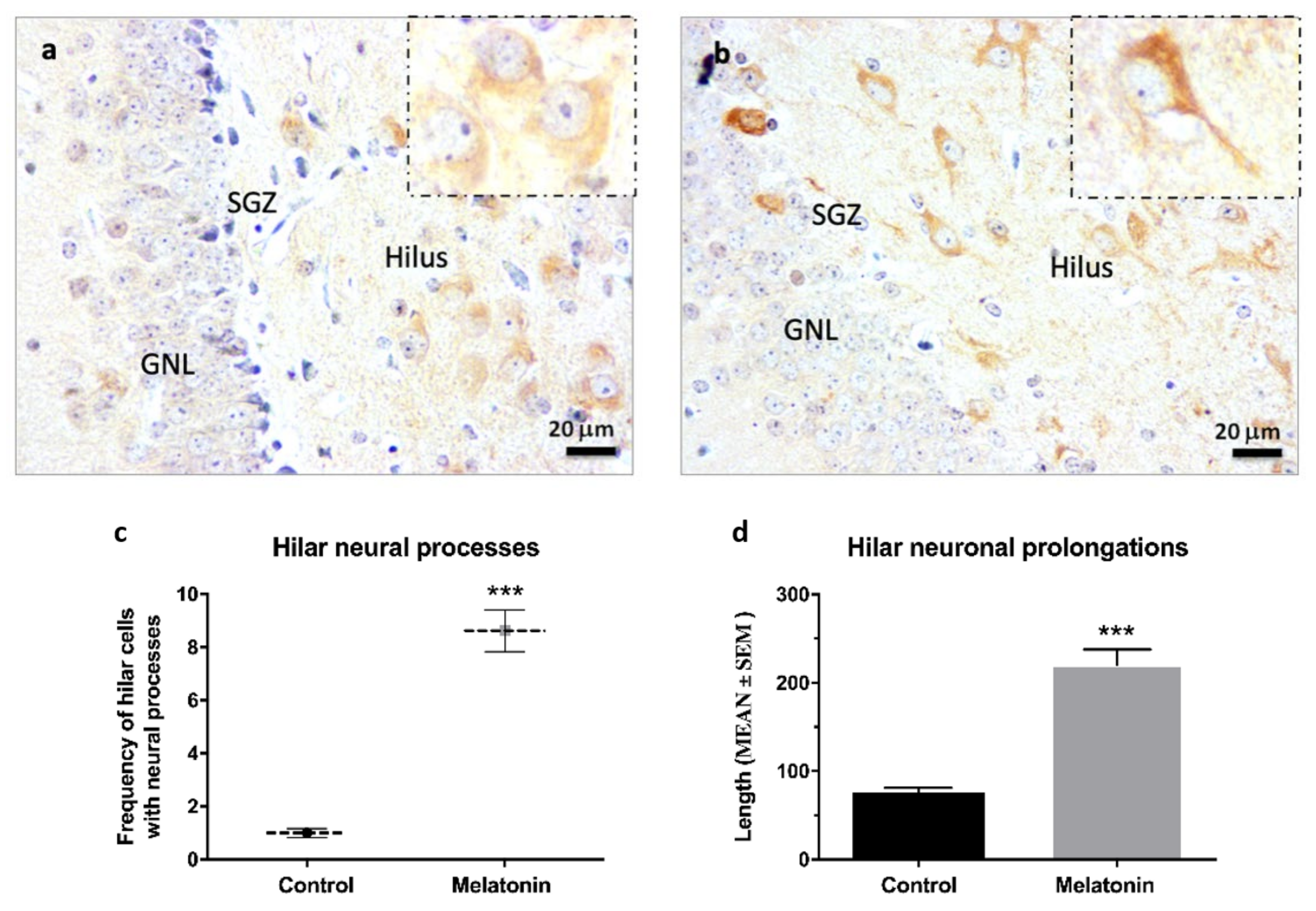 Molecules 27 05543 g005