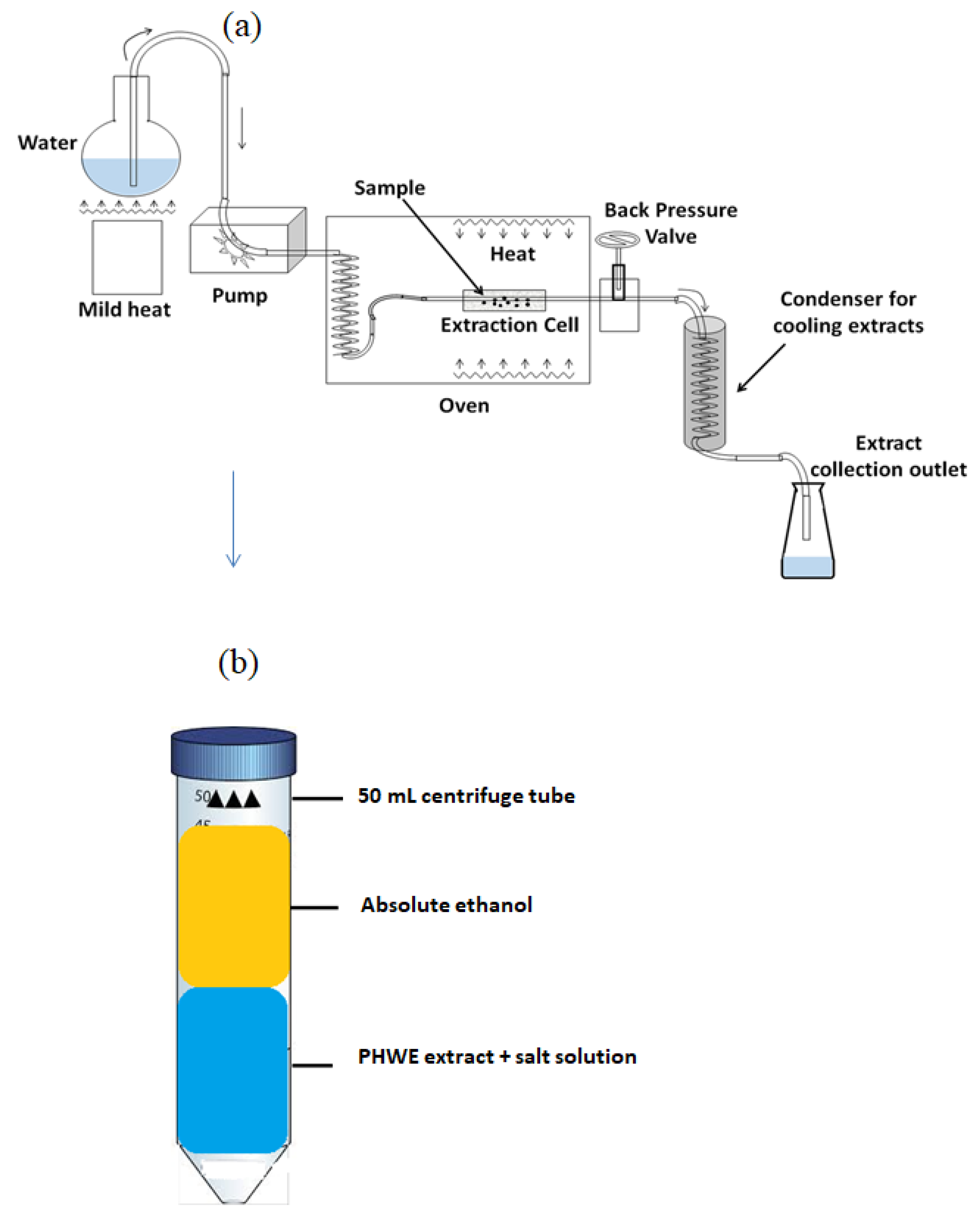 Molecules 27 05547 g001