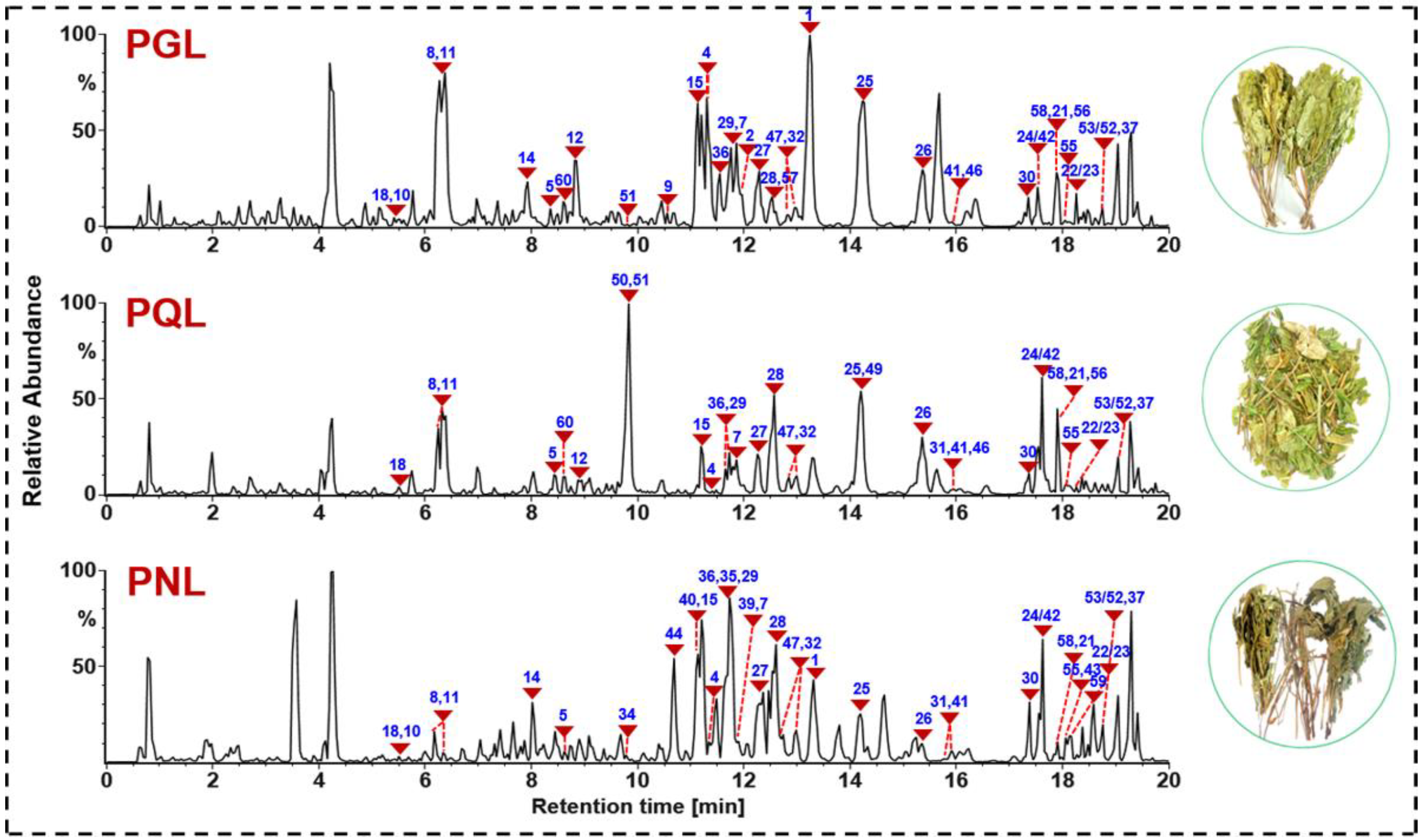 Molecules 27 05549 g004