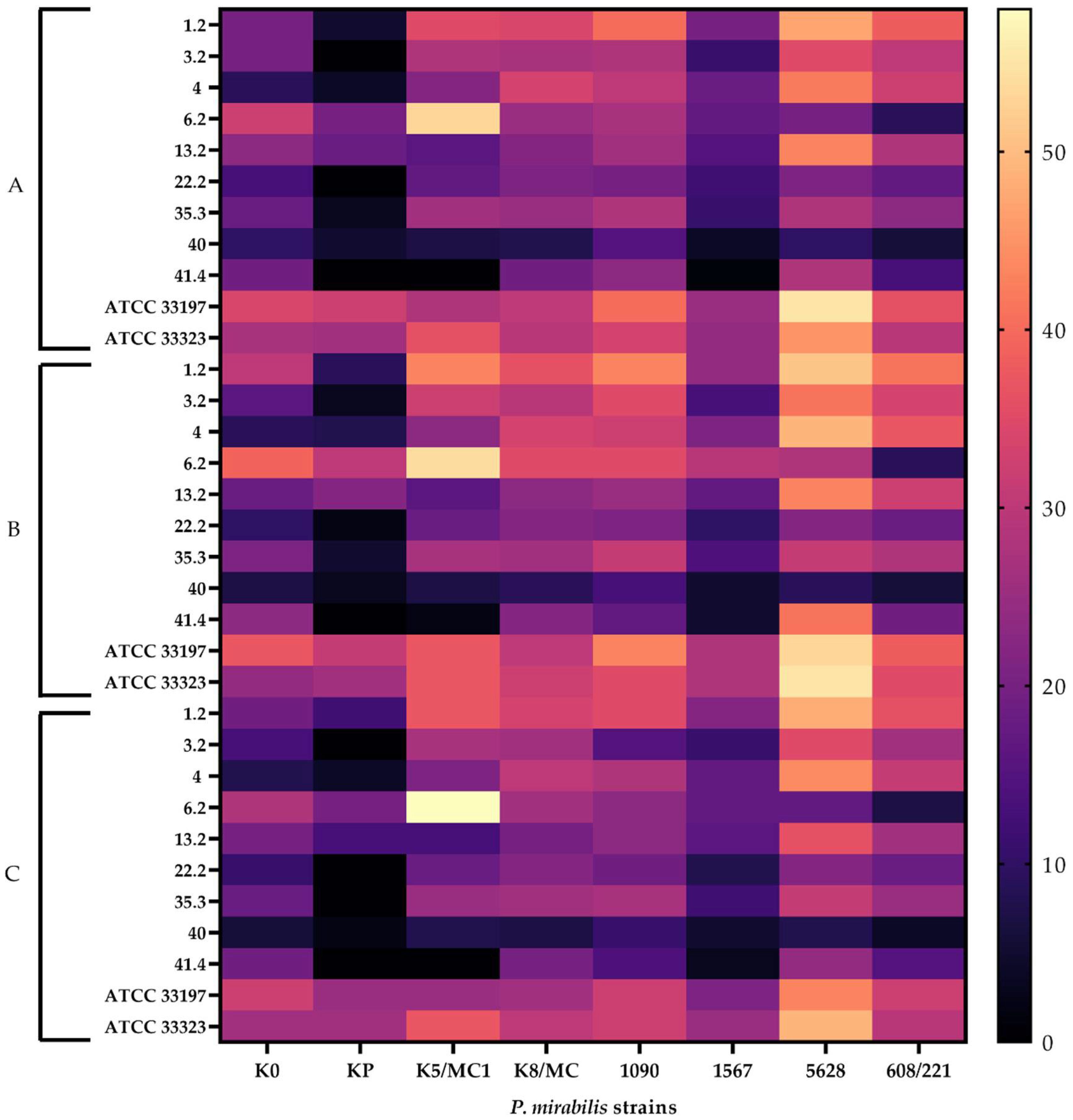 Molecules 27 05557 g002