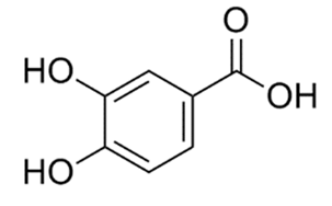 Molecules 27 05560 i001