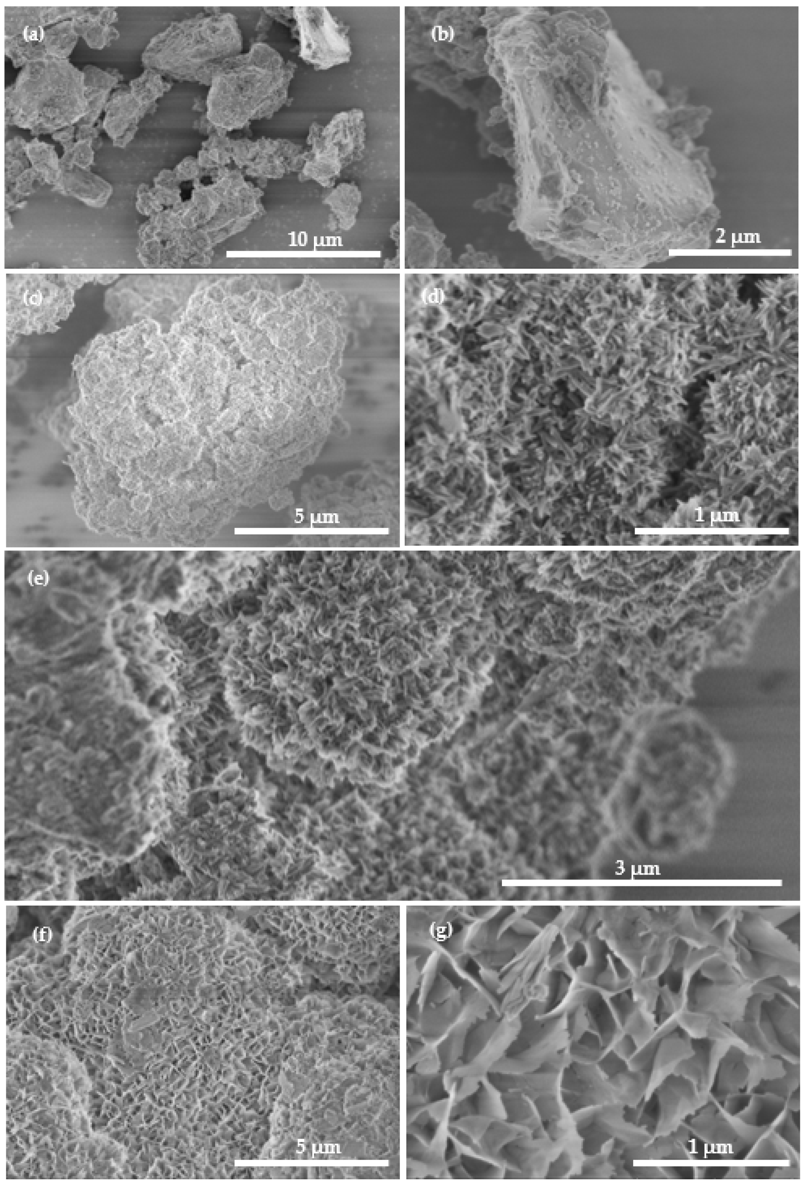 Molecules 27 05565 g002