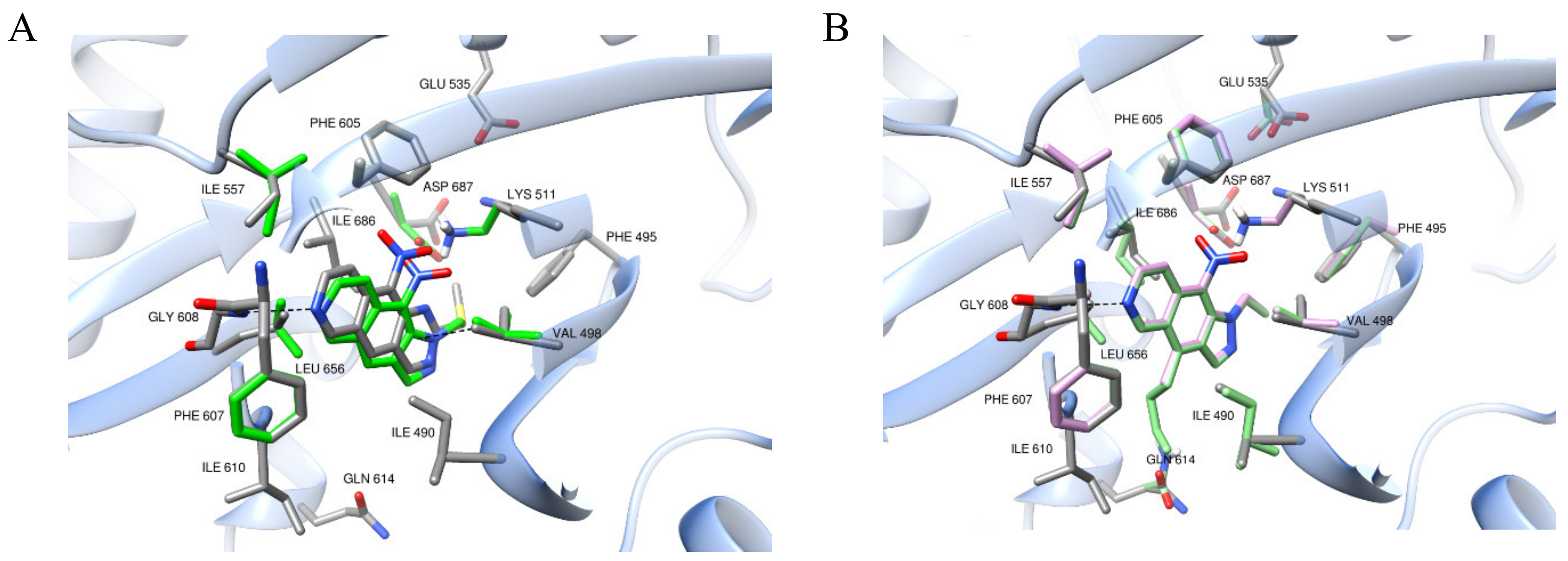 Molecules 27 05578 g002