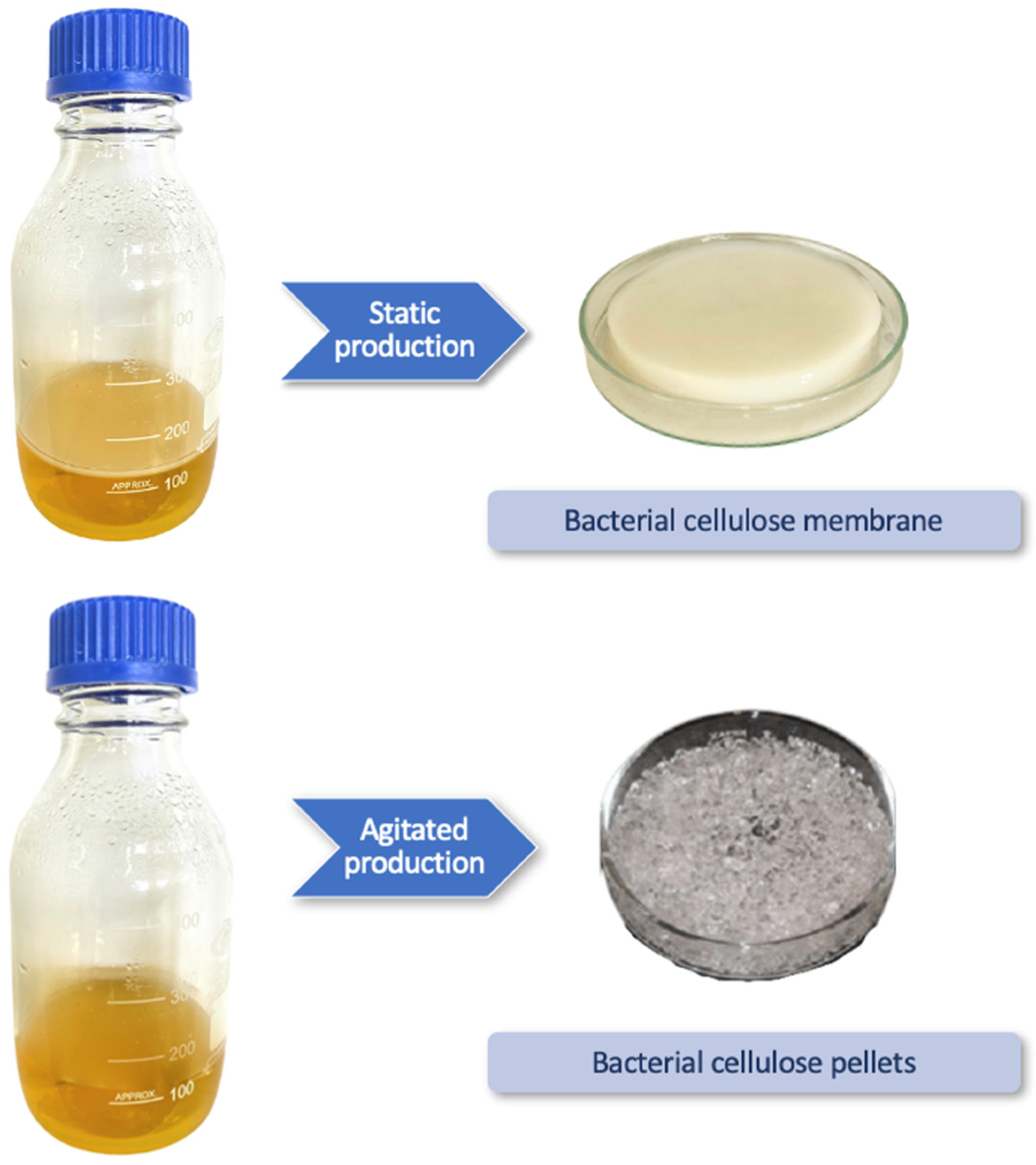 Molecules 27 05580 g002