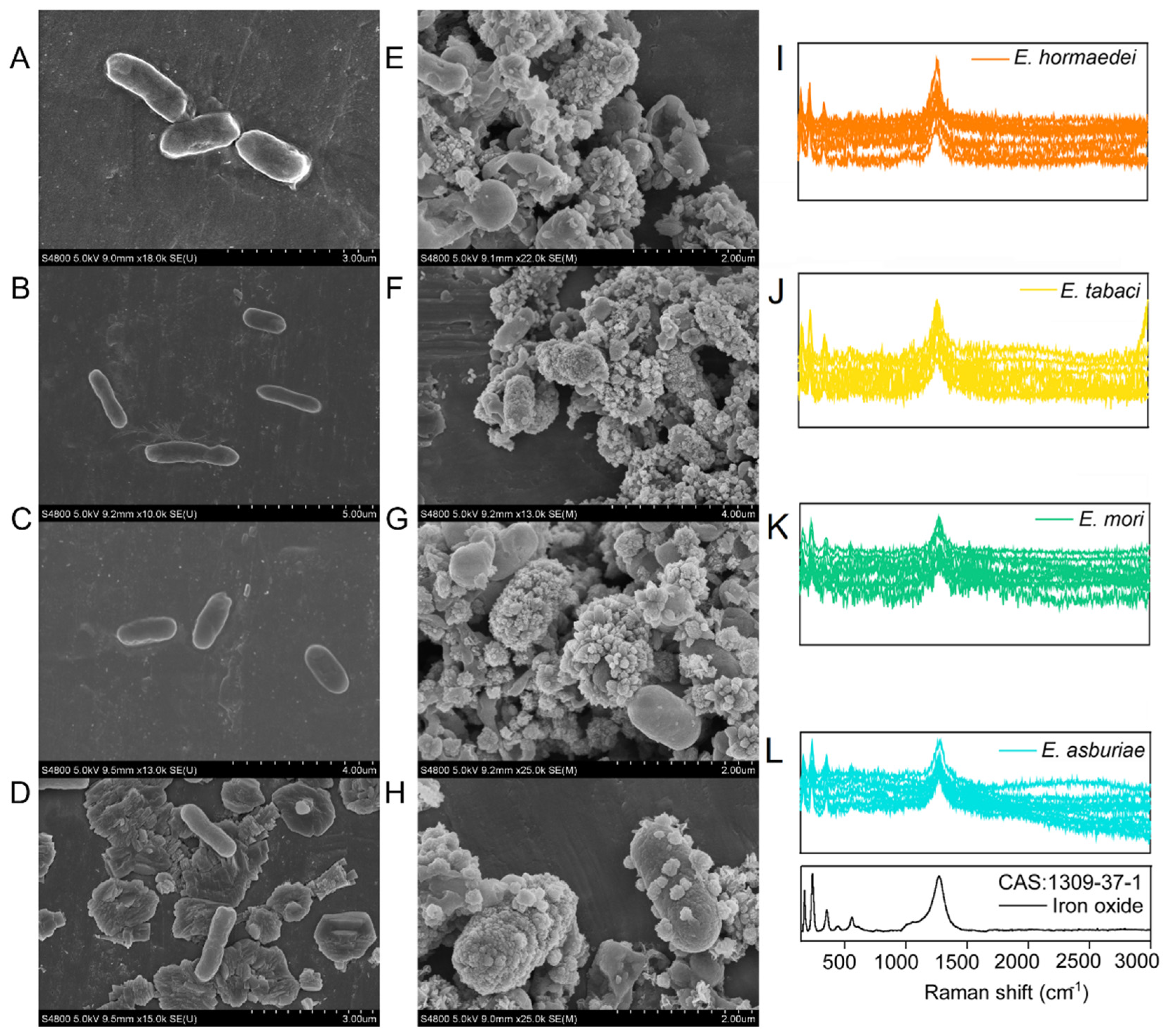 Molecules 27 05581 g003