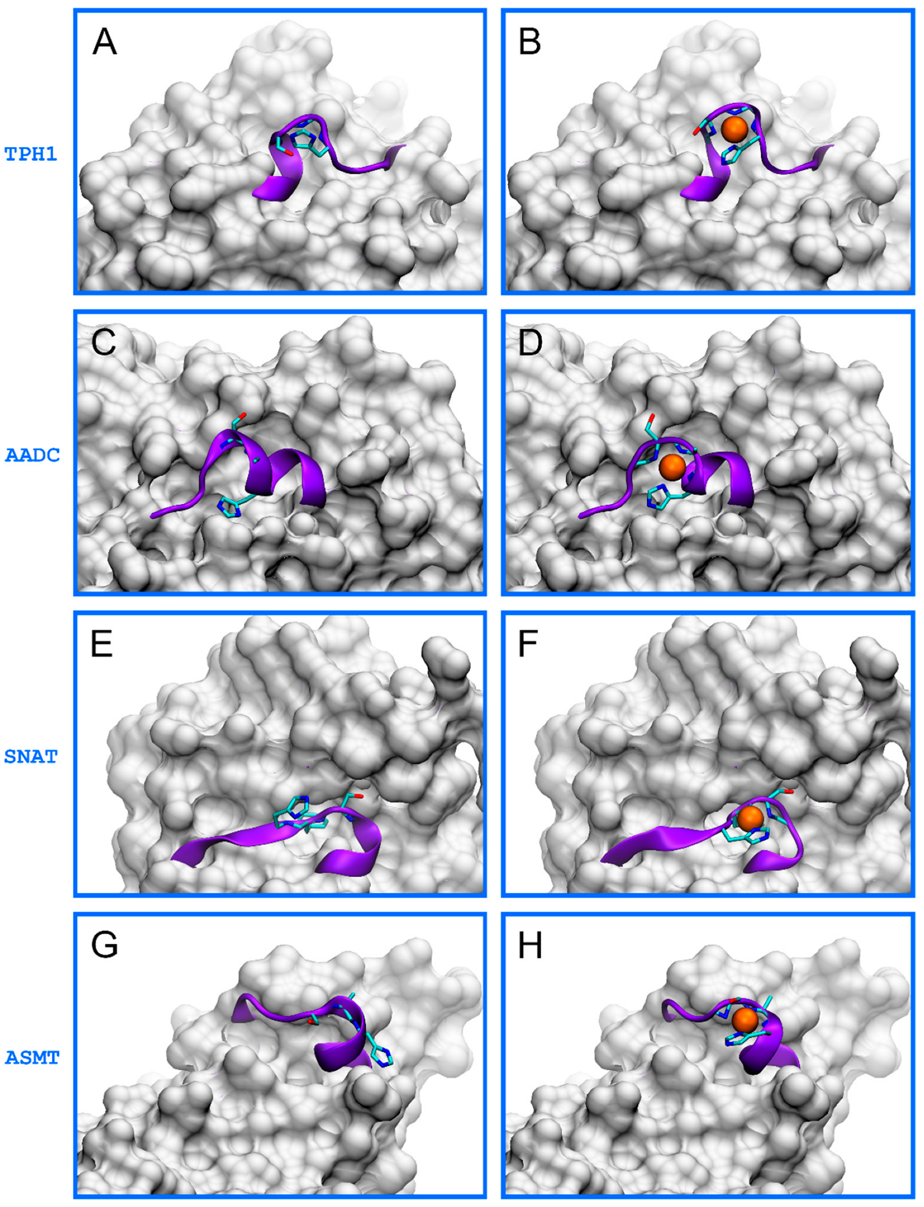 Molecules 27 05582 g001