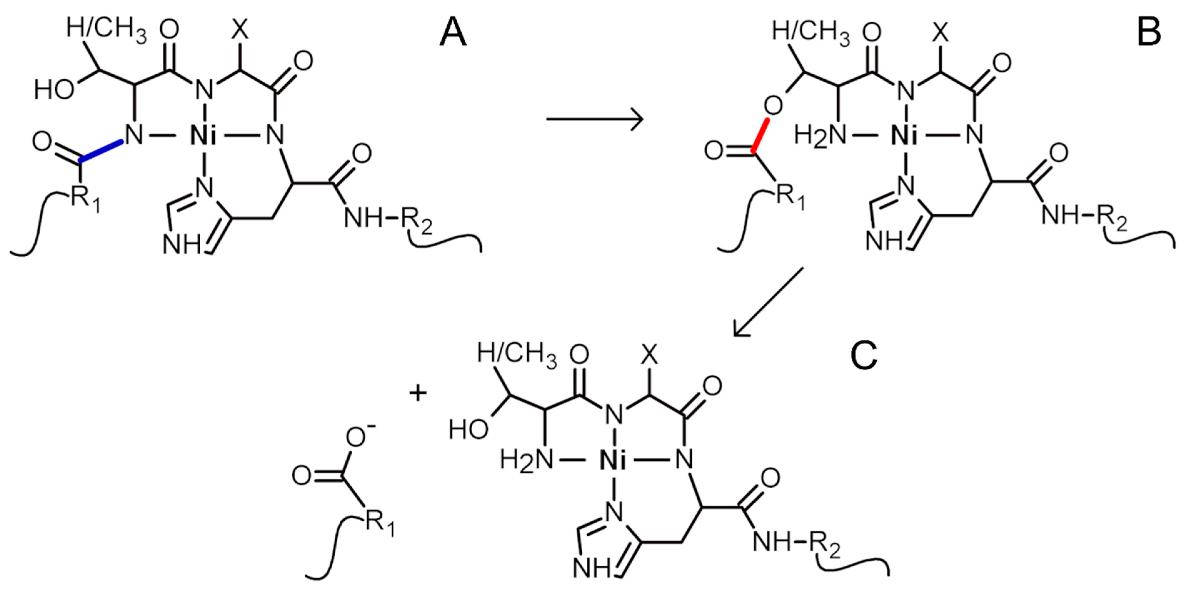 Molecules 27 05582 sch001