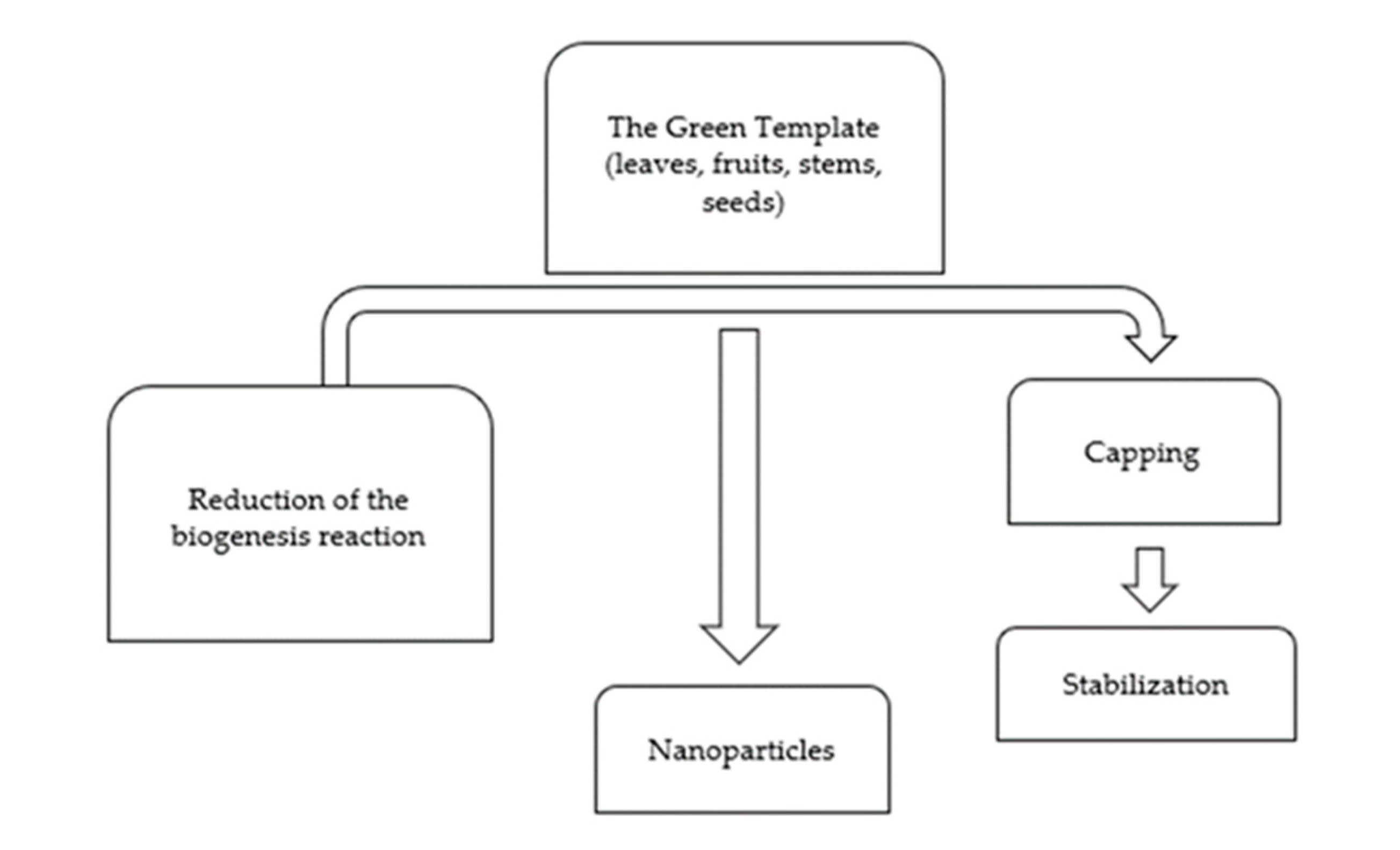 Molecules 27 05586 g003