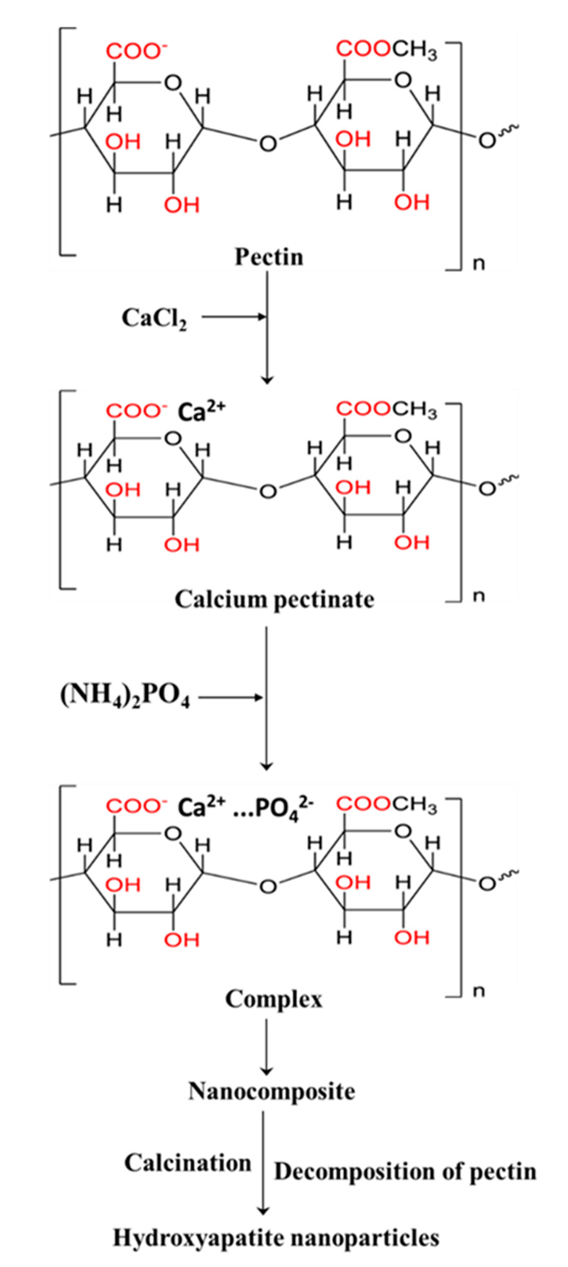 Molecules 27 05586 g006
