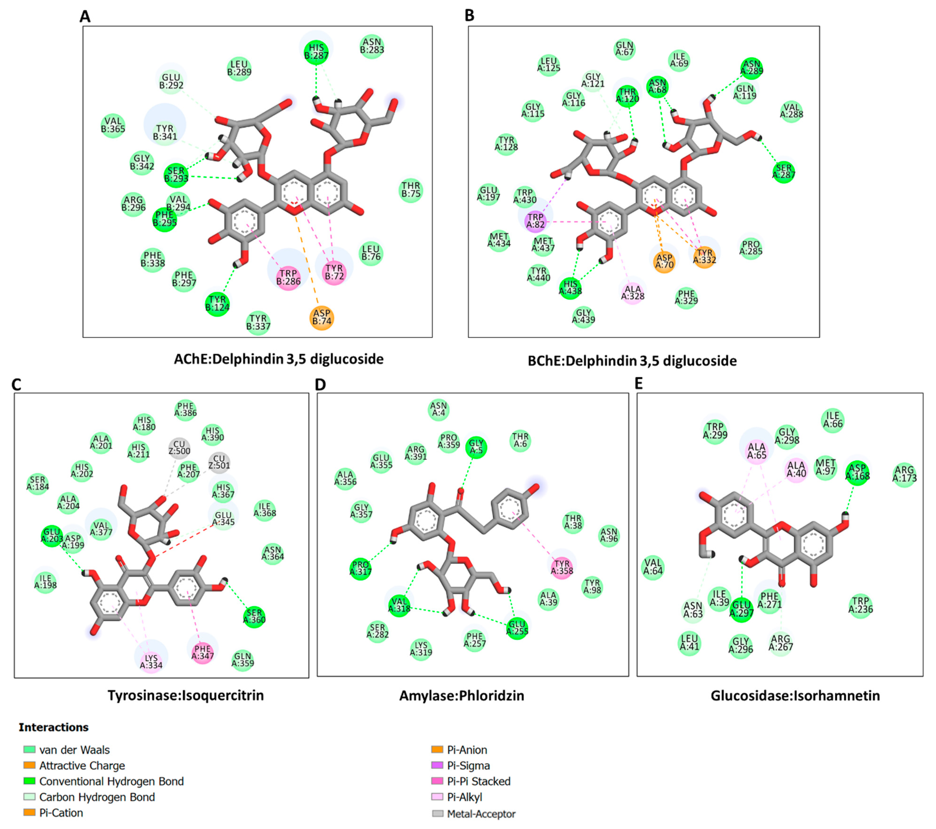 Molecules 27 05590 g004