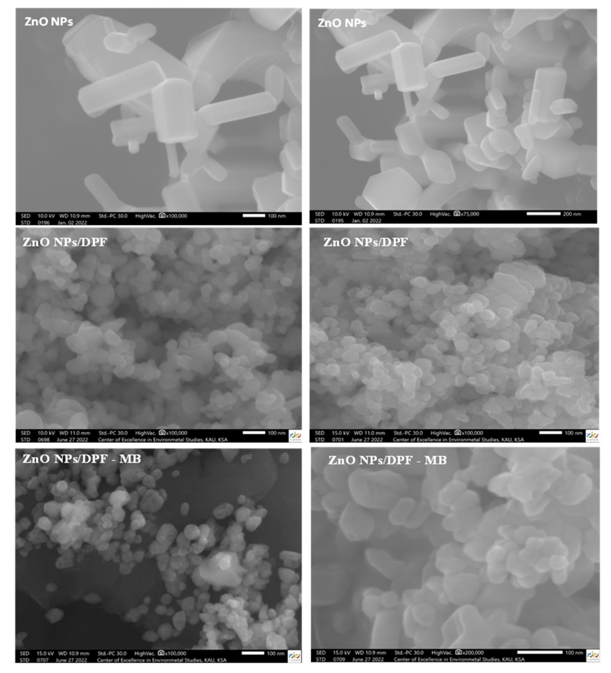 Molecules 27 05592 g002