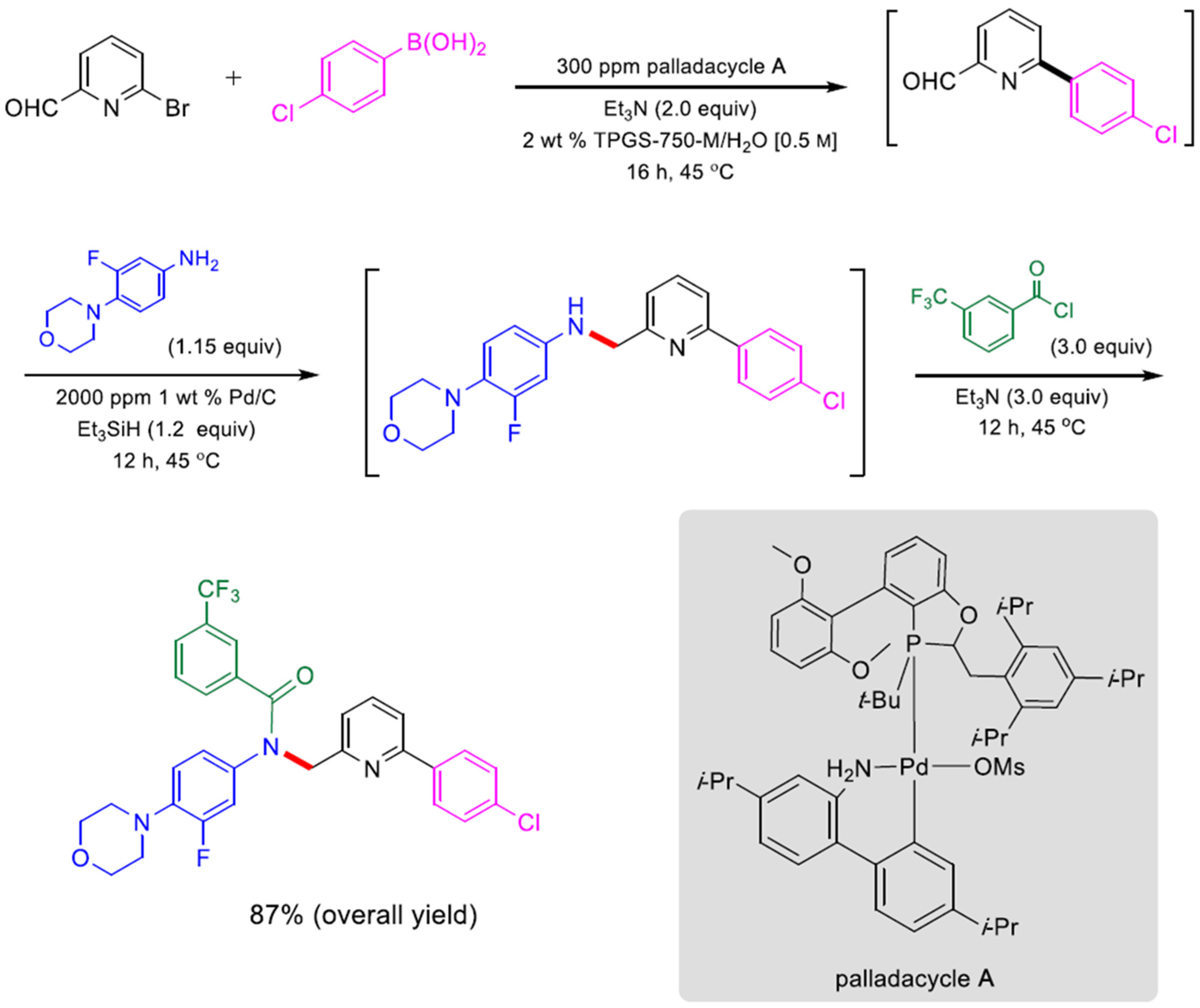 Molecules 27 05611 g006