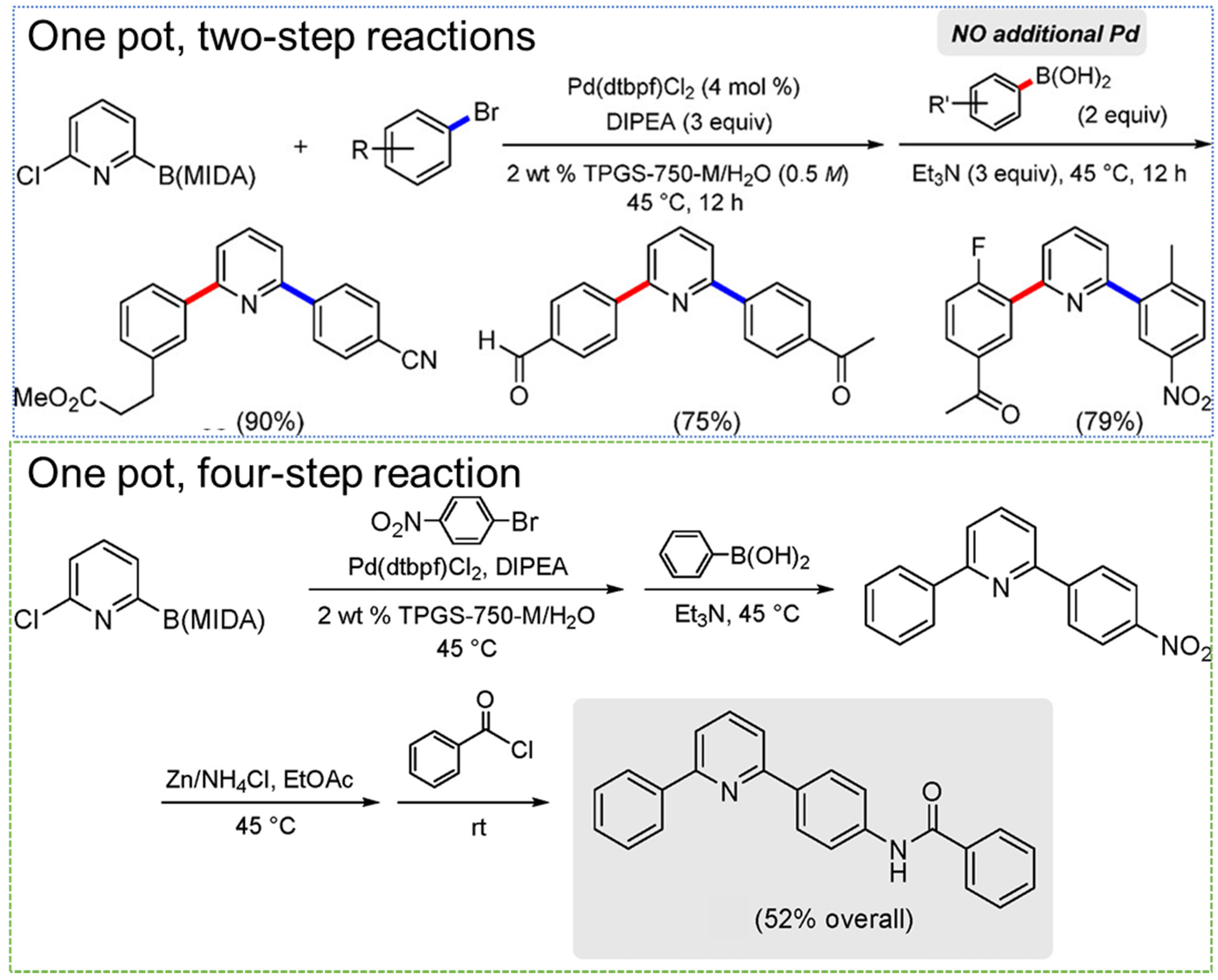 Molecules 27 05611 g007