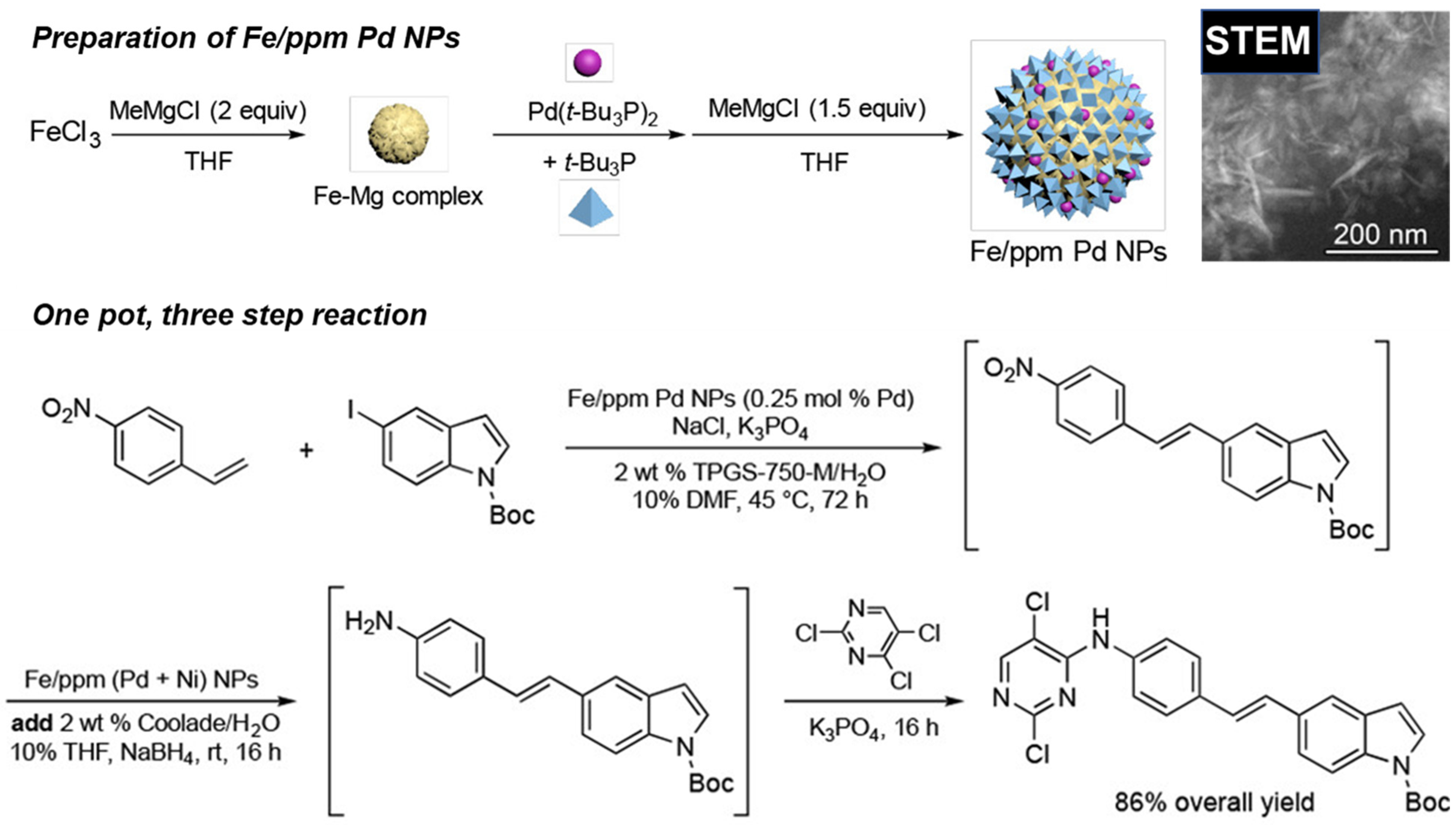 Molecules 27 05611 g010
