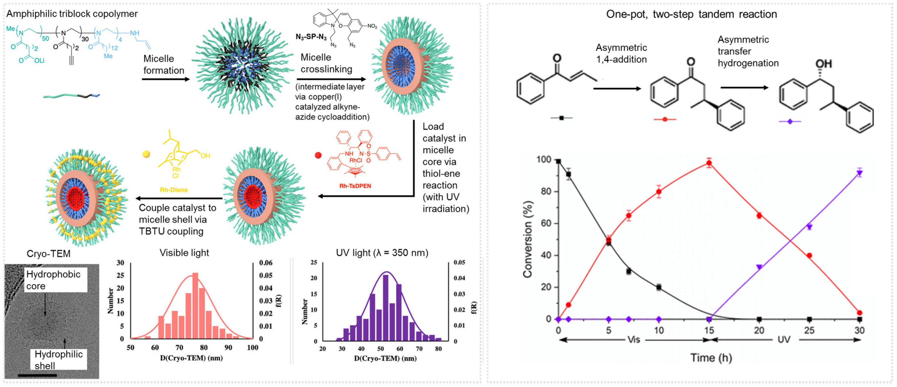 Molecules 27 05611 g012