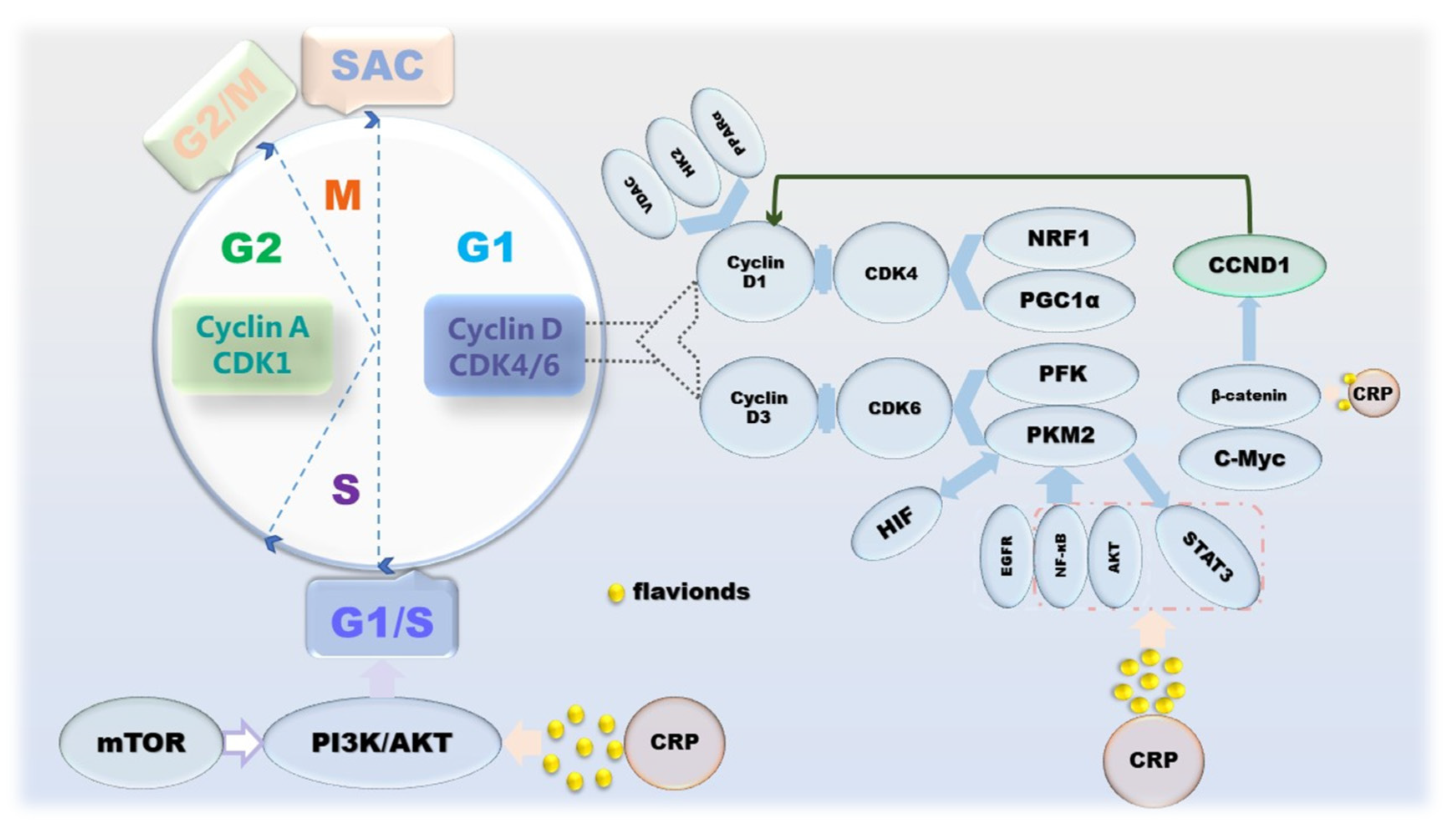 Molecules 27 05622 g003