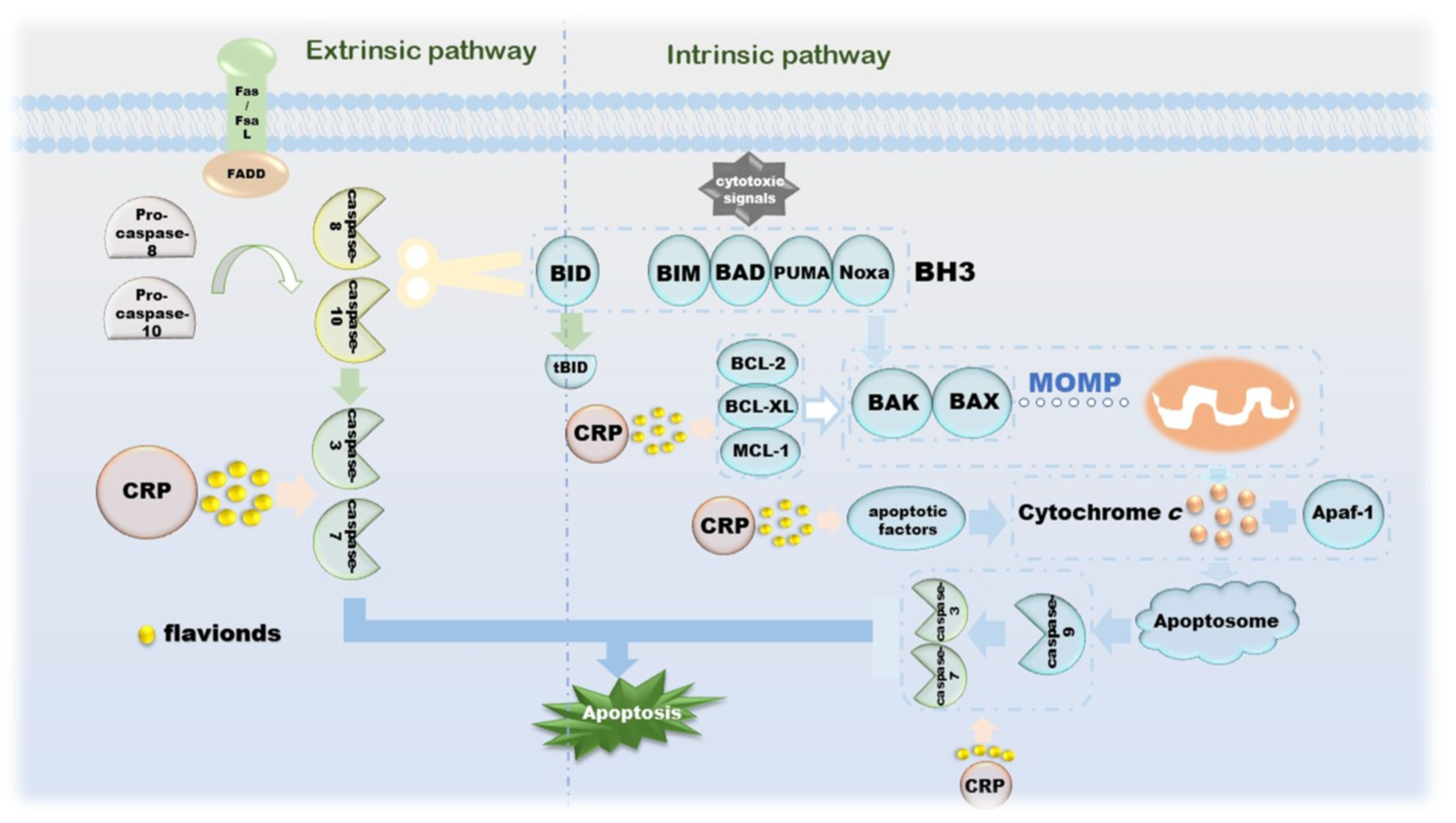 Molecules 27 05622 g004