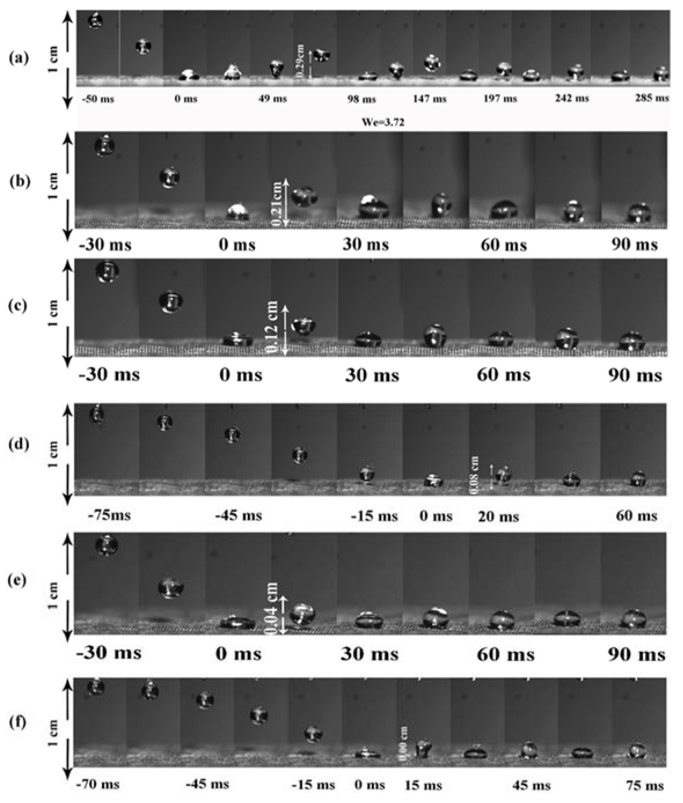 Molecules 27 05624 g005